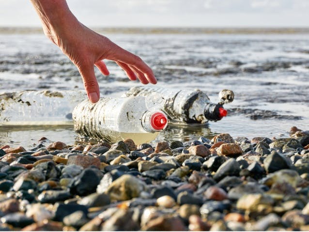 Photograph of a hand picking up two used plastic bottles covered in seaweed floating on the edge of a shingle beach with a hand picking them up
