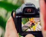 Close up photograph of a camera and its digital screen capturing a butterfly