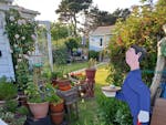 Photograph of one of the gardens in the Selsey Open Garden's event, pots of plants, roses and a wooden cut ou of a butler in the foreground