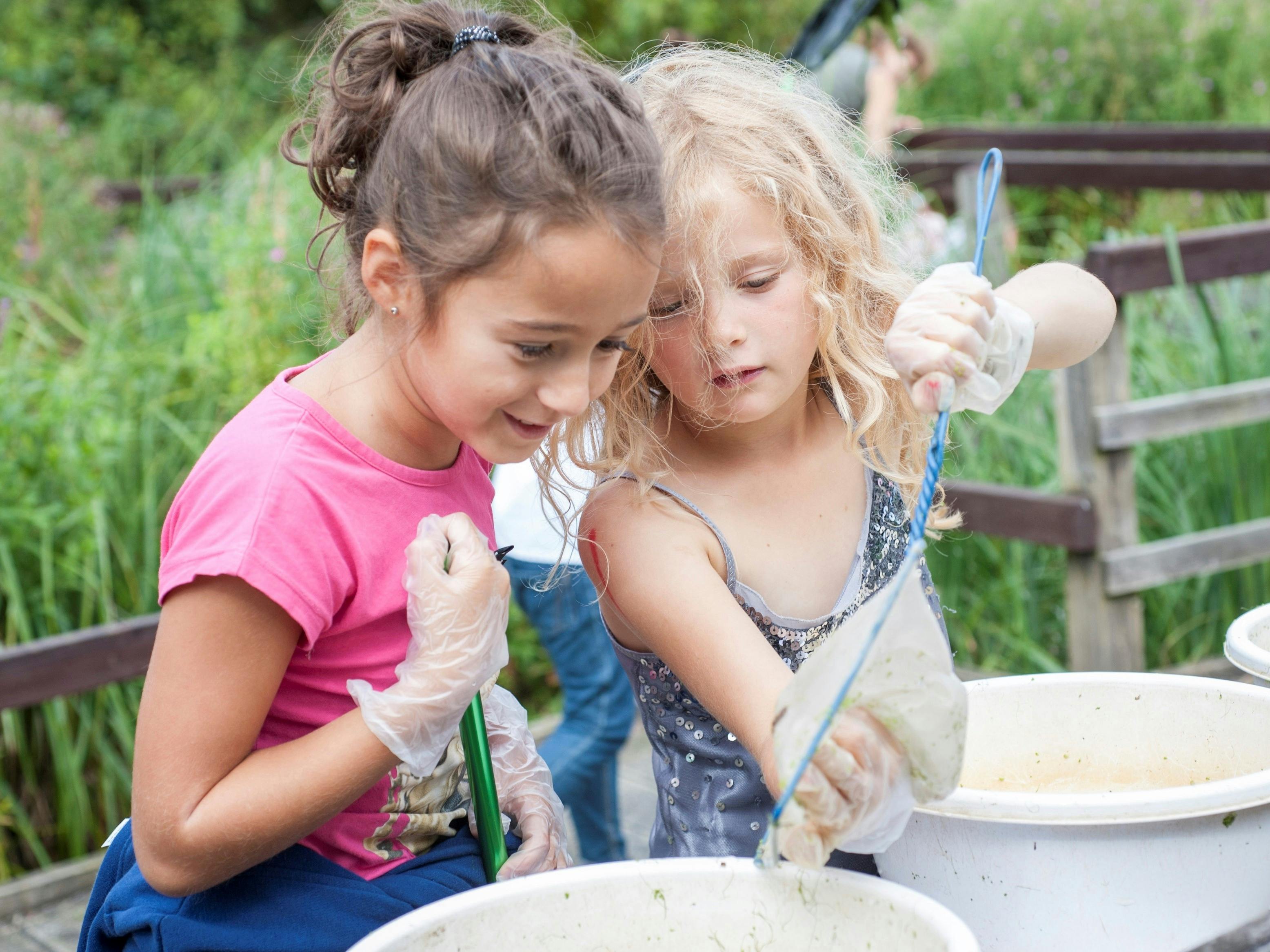 Photograph of two children with nets and buckets pond dipping