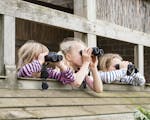Photograph of three children with binoculars in a bird hide