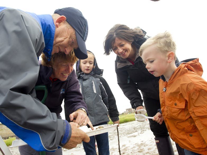 Mud Sifting courtesy of Ben Hall (rspb-images.com) photograph of a group mud sifting