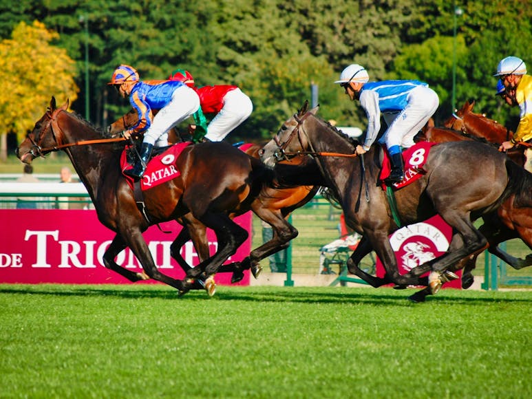 Horse Race courtesy of Philippe Grass on Unsplash Photograph of a horse race