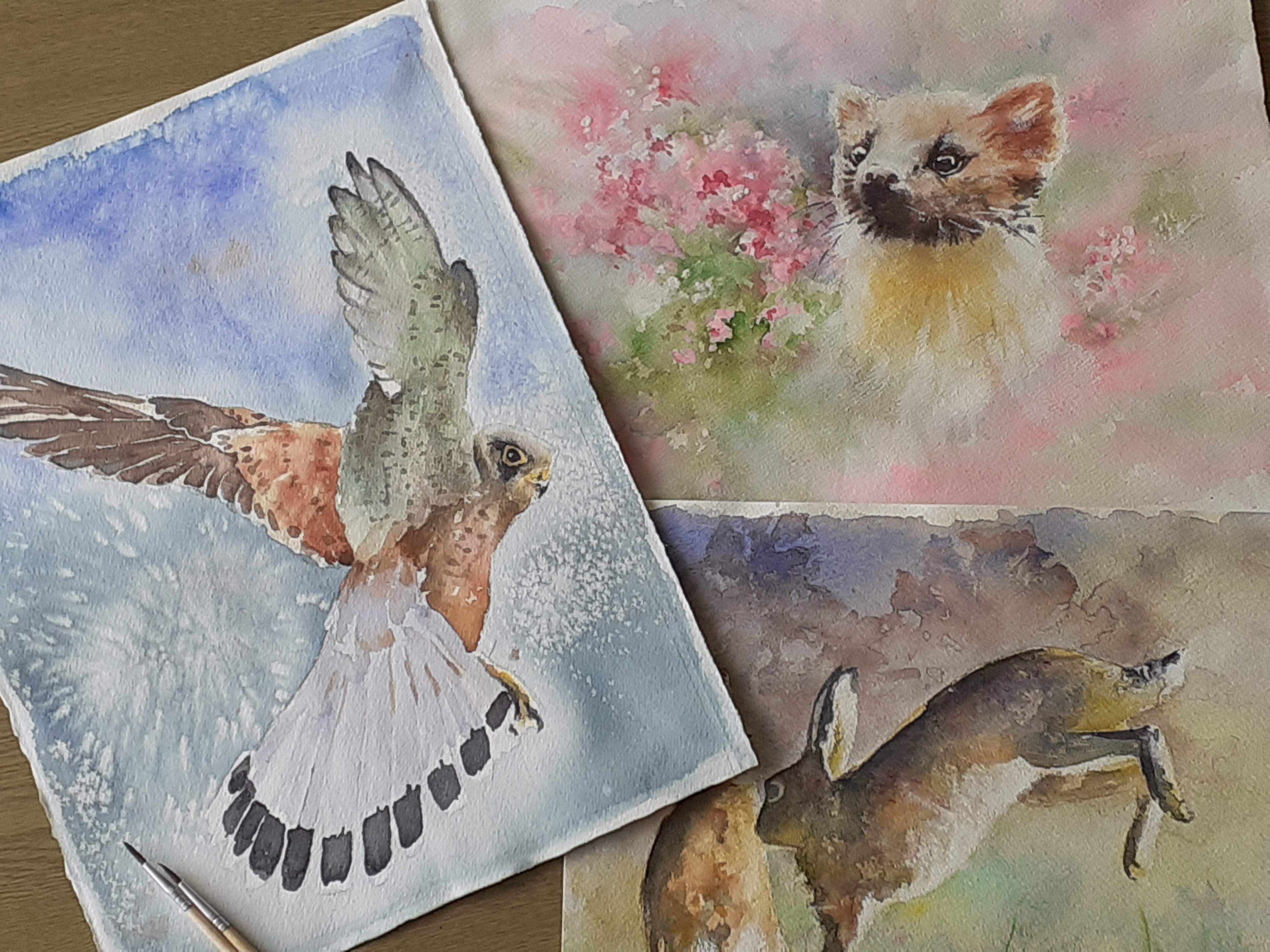 Three hand painted watercolour pictures, one of a bird in flight on blue background, one of a jumping rabbit  on purple and green background and the third of a polecat on a blurred flowery background.