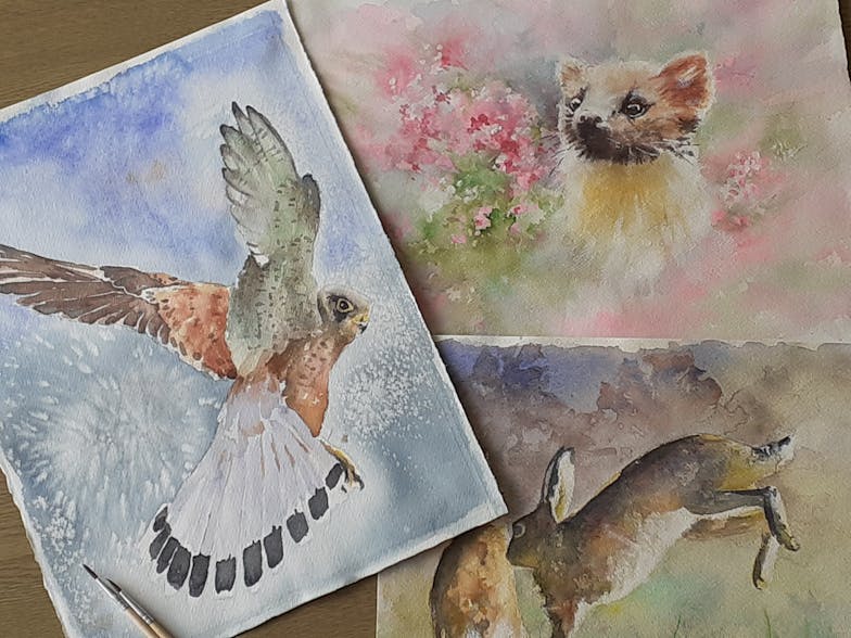 RSPB Art Exhibition Three hand painted watercolour pictures, one of a bird in flight on blue background, one of a jumping rabbit on purple and green background and the third of a polecat on a blurred flowery background.