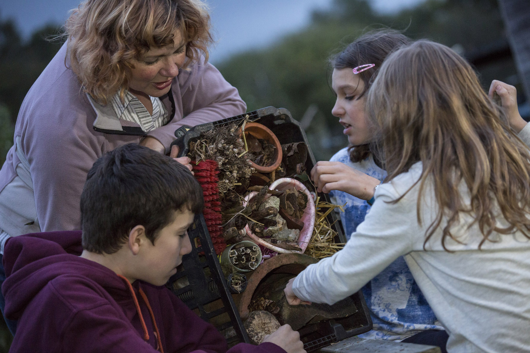 Three children and one adult making a bug hotel inside a crate with stick, tubes and other natural materials.