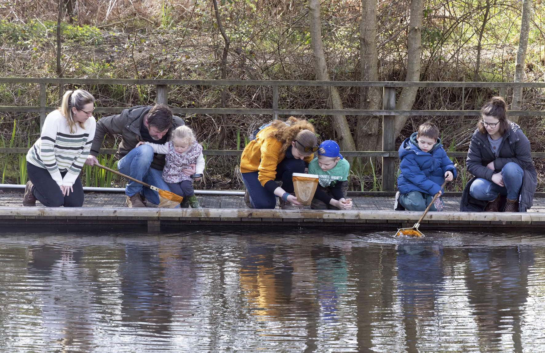 Three children with their parents using nets to search a pond. They are looking at the creatures they have found in their nets.