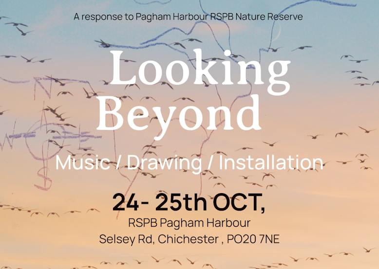 Looking Beyond RSPB Poster with a background of migrating birds in the sunset. The words say: A response to Pagham Harbour RSPB Nature Reserve, Looking Beyond, music/ drawing / installation, 24th - 25th Oct, RSPB Pagham Harbour, Selsey rd, Chichester, PO20 7NE