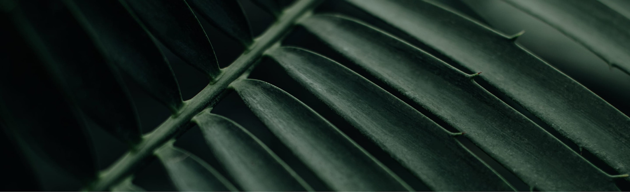 Banner media