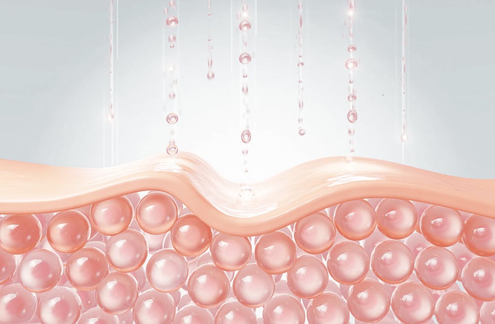 illustration of skin cells