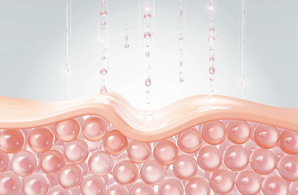 illustration of skin cells