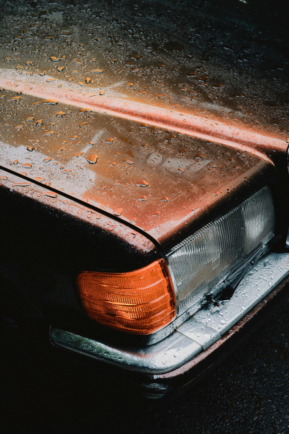 tuaans-nn BmauL0ek-unsplash