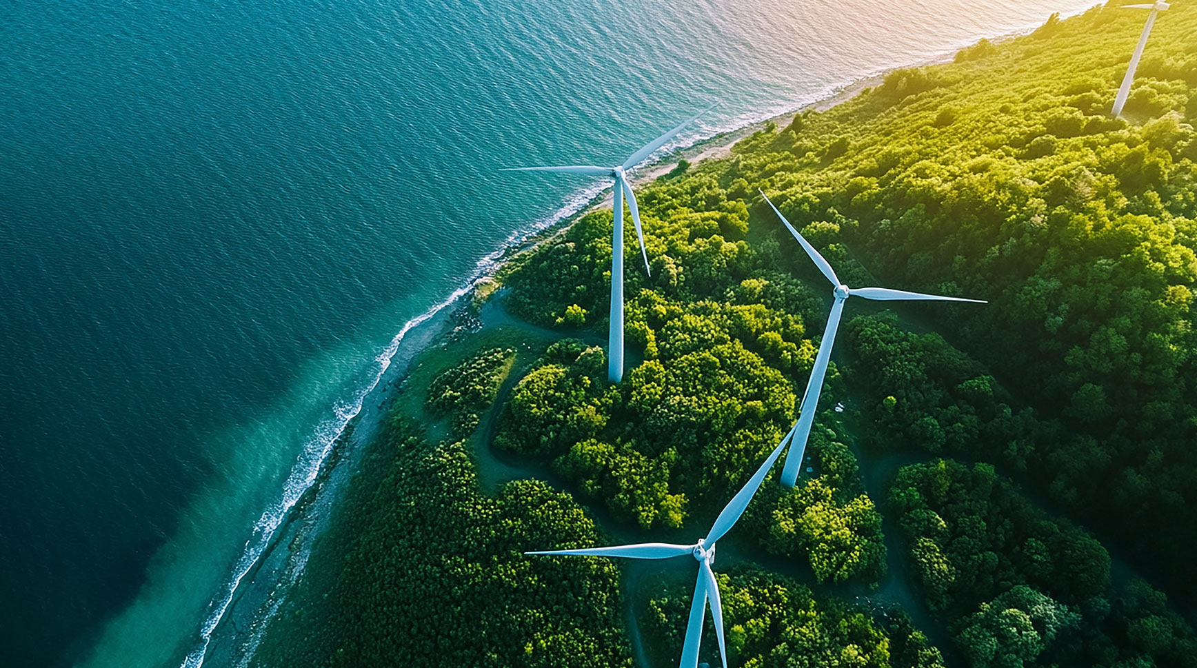 Aerial view of wind turbines on a forested coastline beside the sea