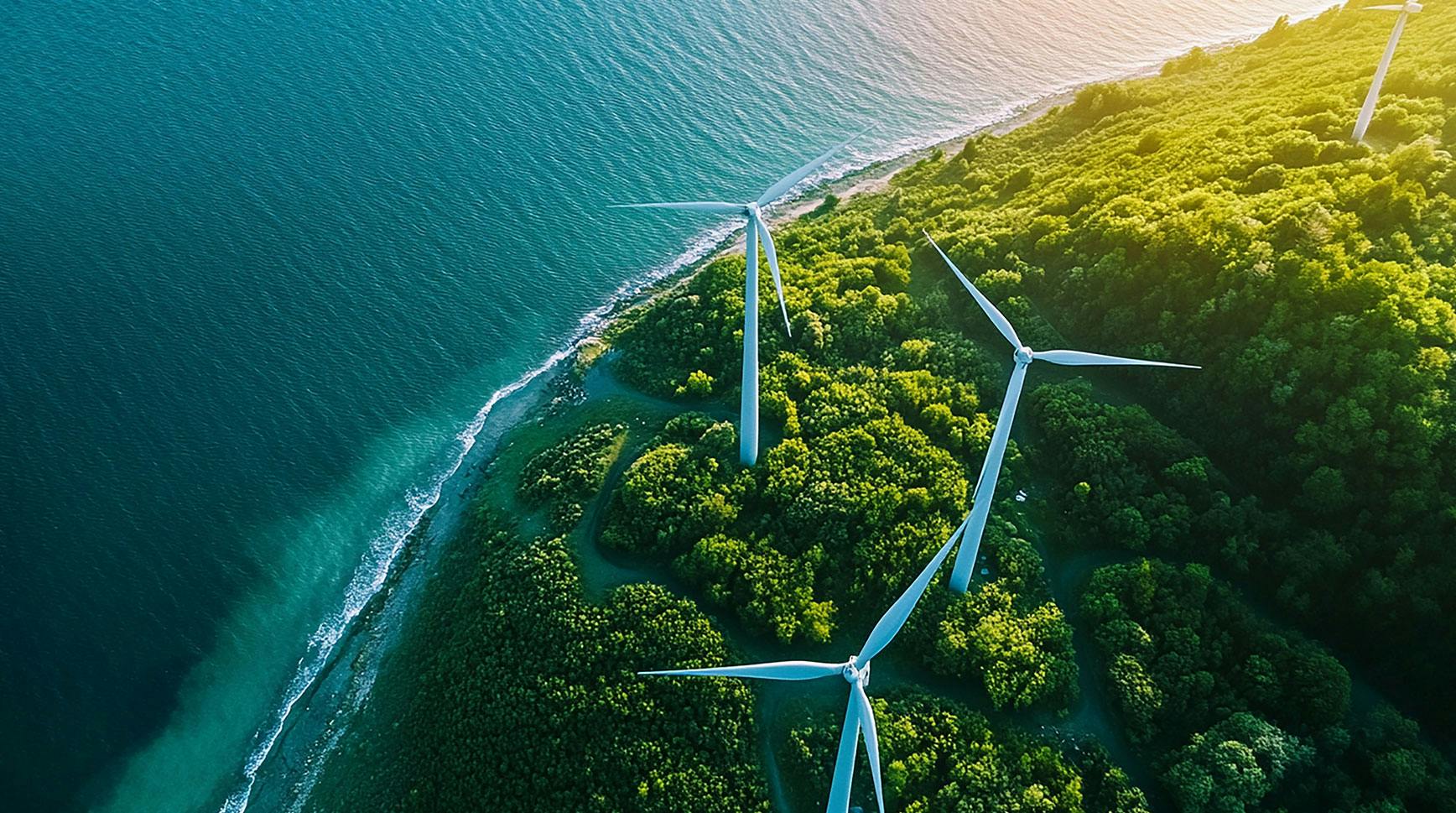 Aerial view of wind turbines on a forested coastline beside the sea