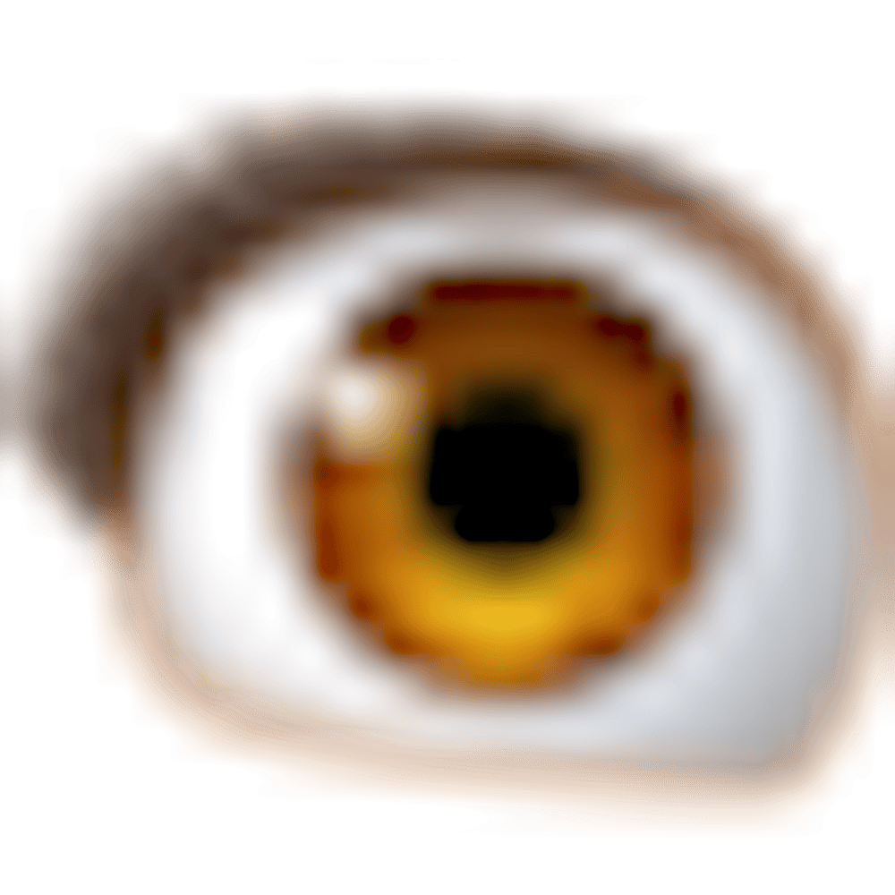 👁