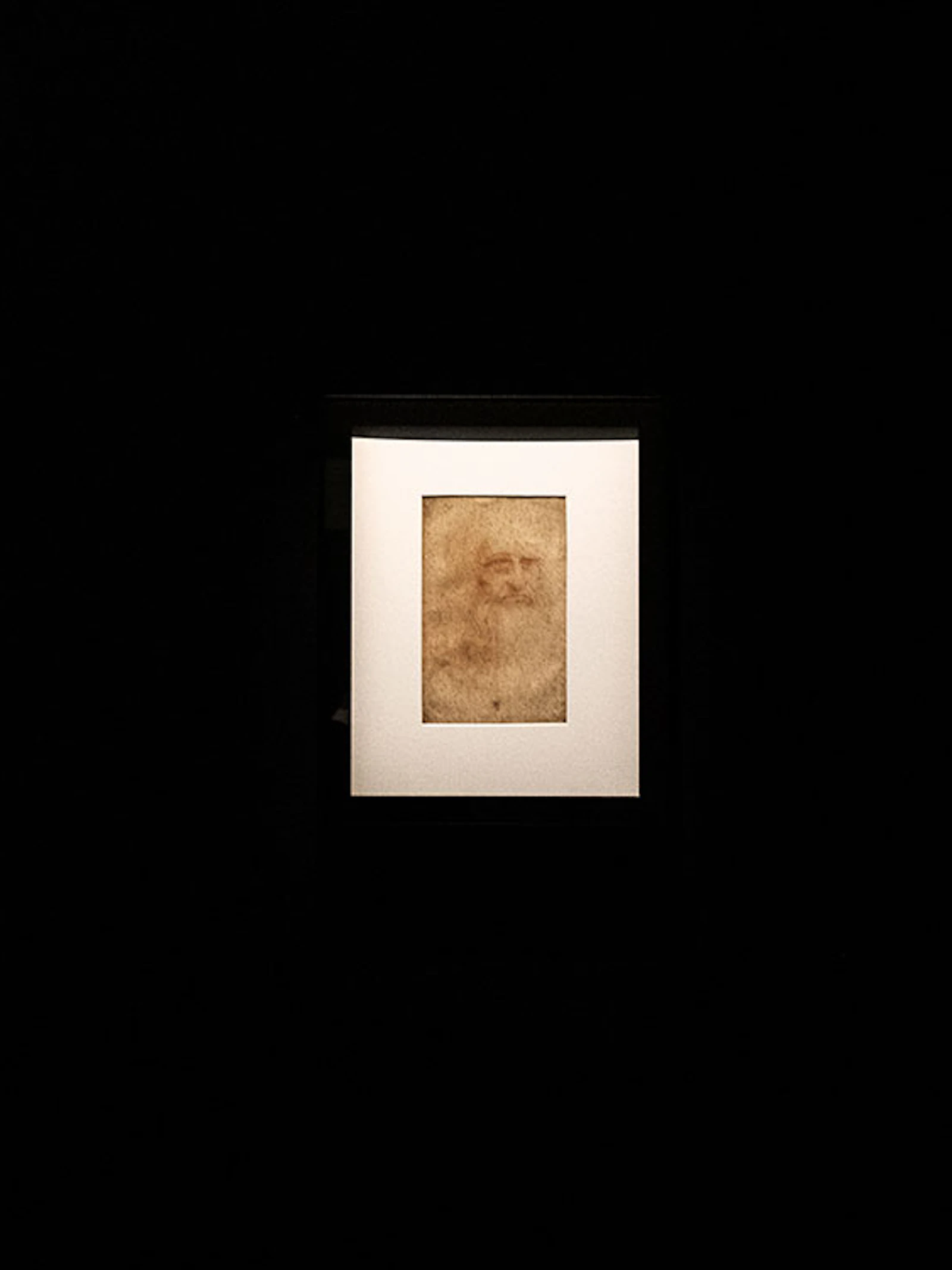 Hoe geniaal was Leonardo da Vinci?