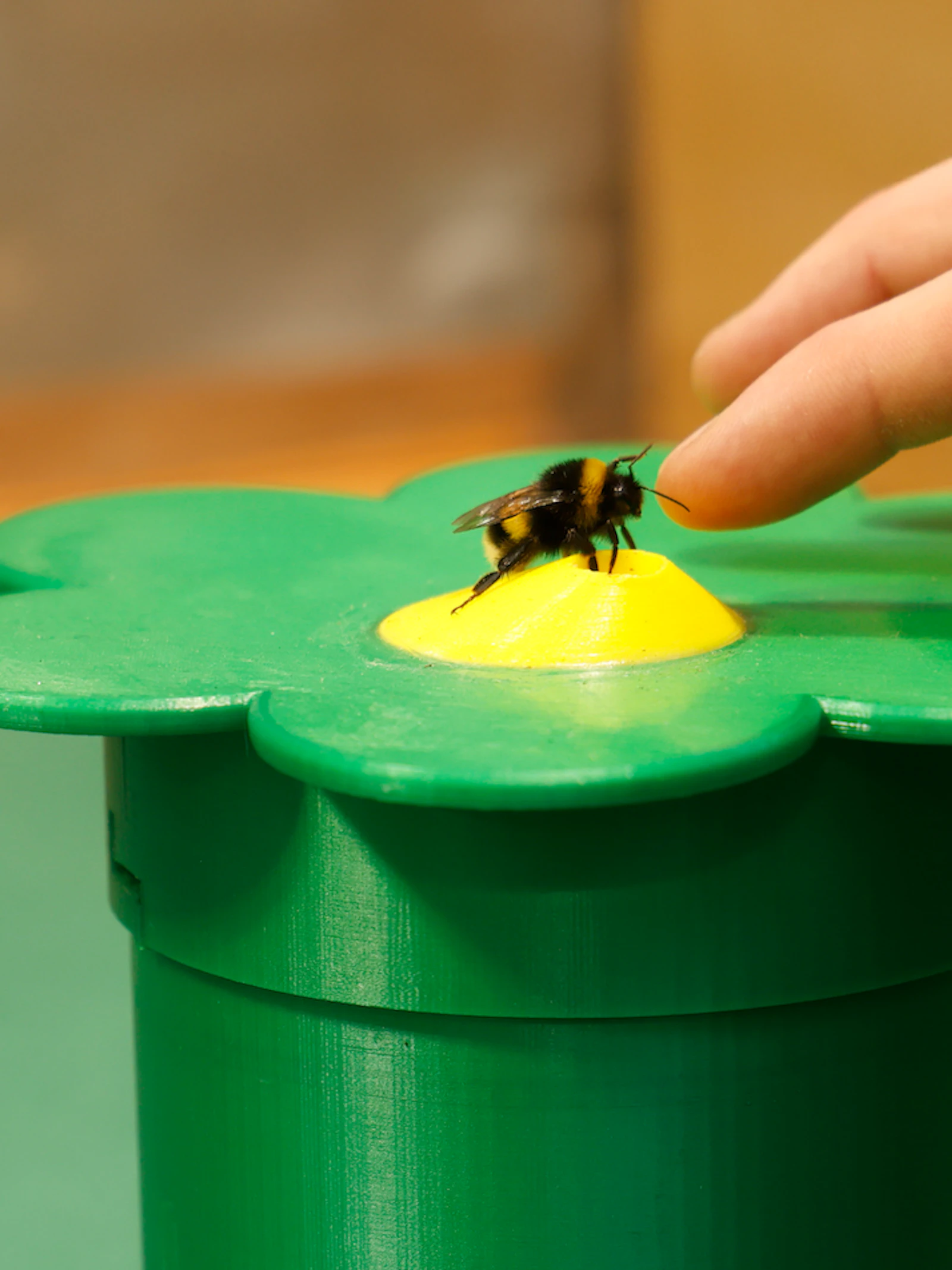 Zelfmedicatie? Zieke hommelkolonies kiezen voor medicinale nectar