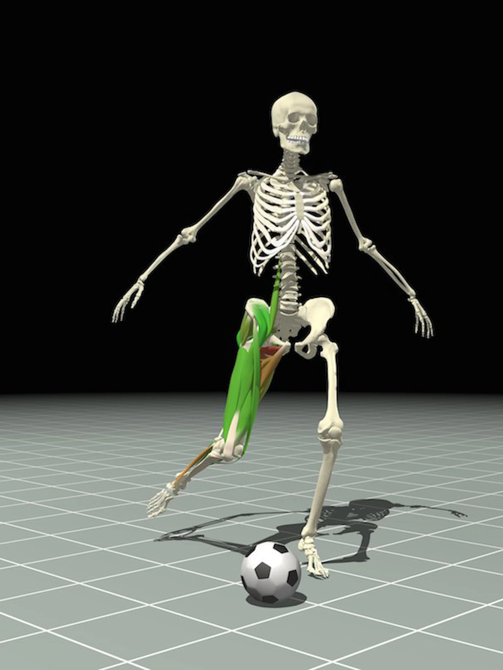 Voetbalwetenschap van a tot z Voetbalwetenschap van a tot z