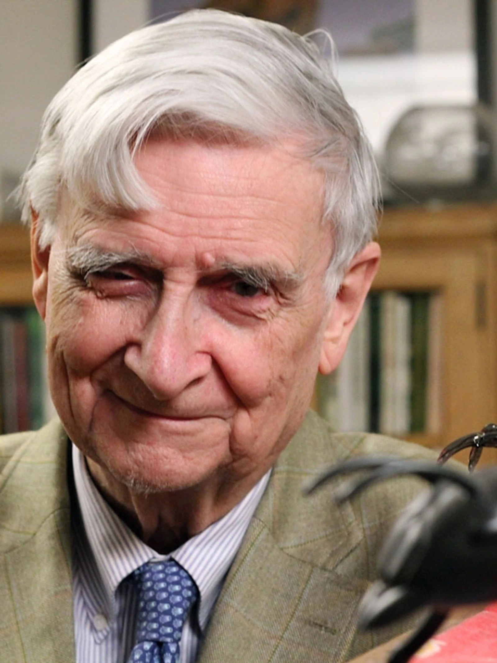 In ecologie en onbaatzuchtige mieren, dat is waar wetenschapsicoon Edward Wilson toekomst in ziet