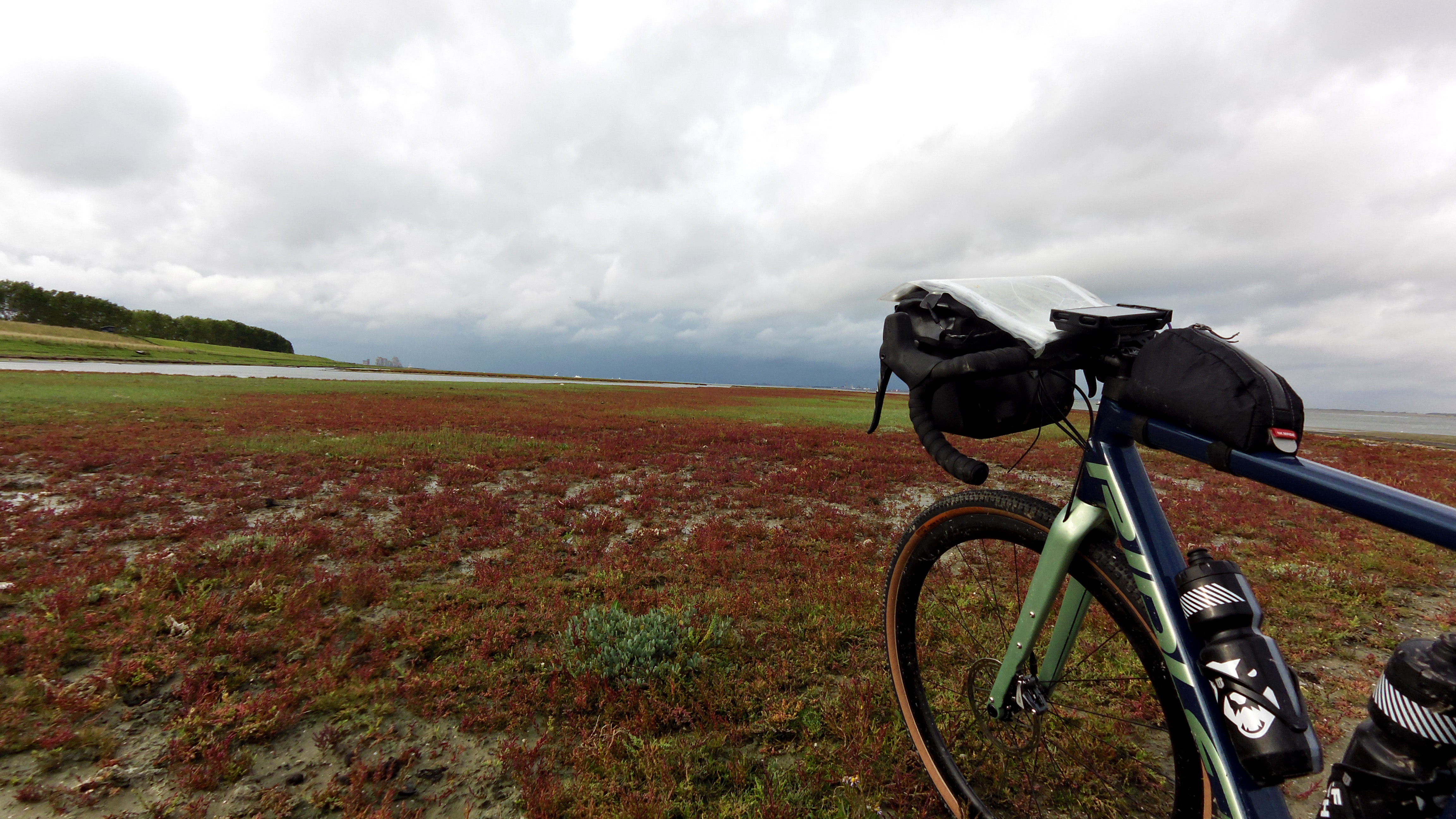 Pourbus Troubadour (6) - Verdronken & verzopen