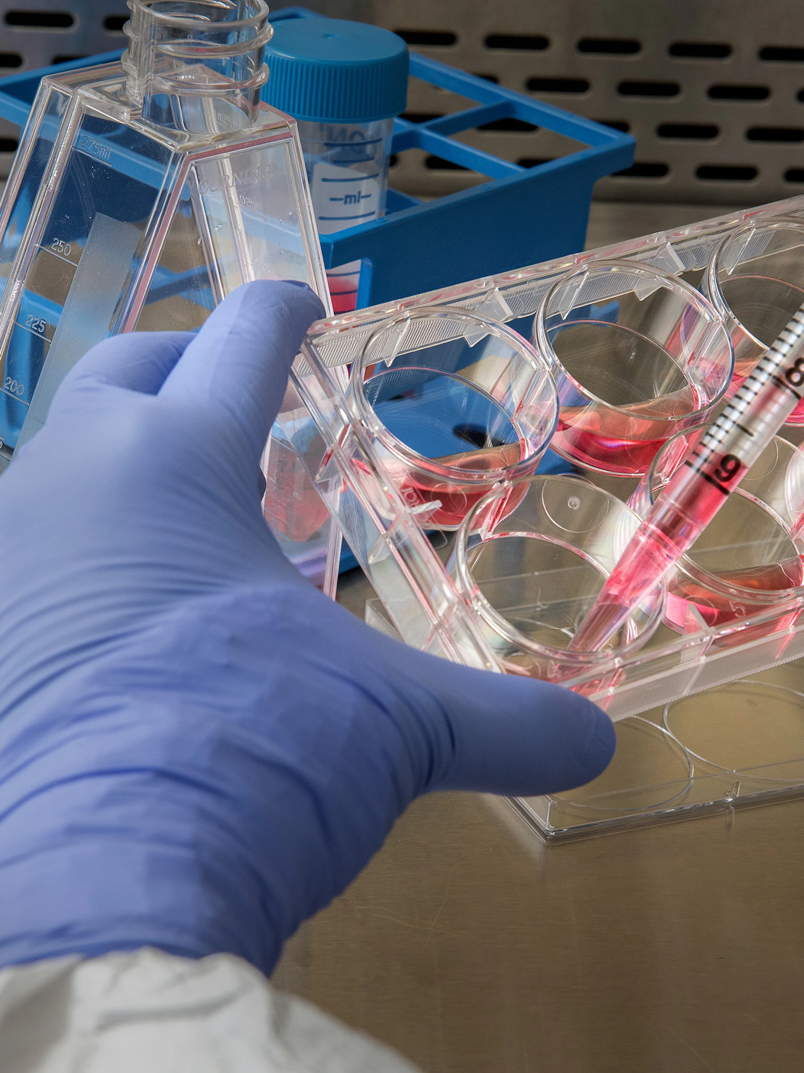 Biohacker wil coronavaccin op zichzelf uittesten