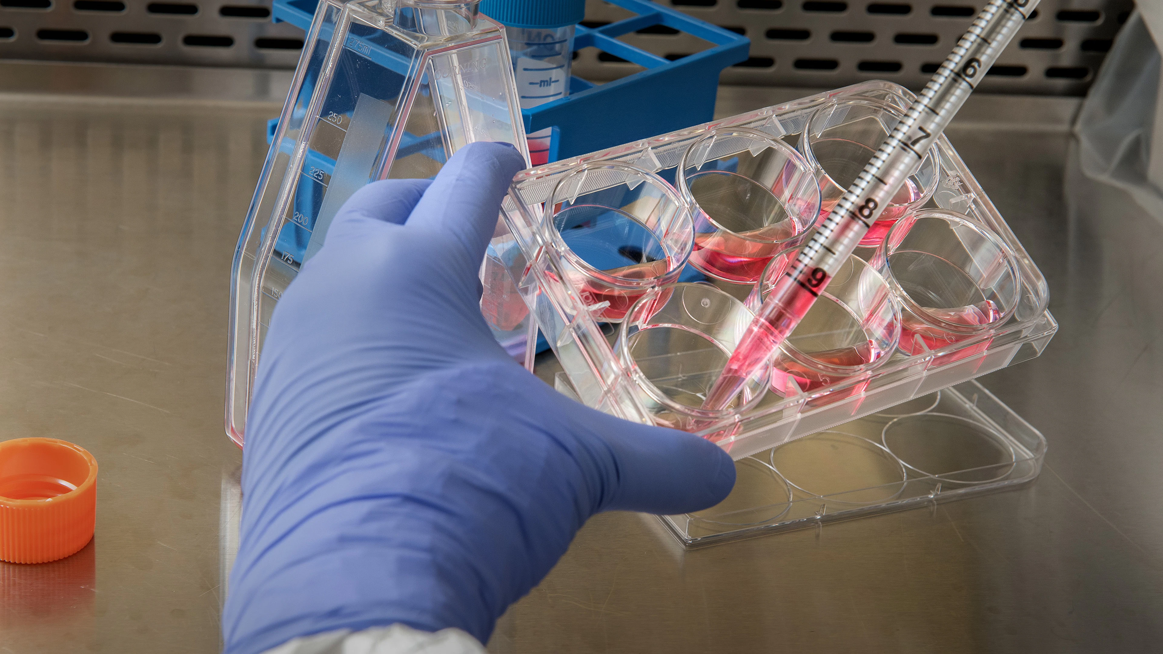 Biohacker wil coronavaccin op zichzelf uittesten
