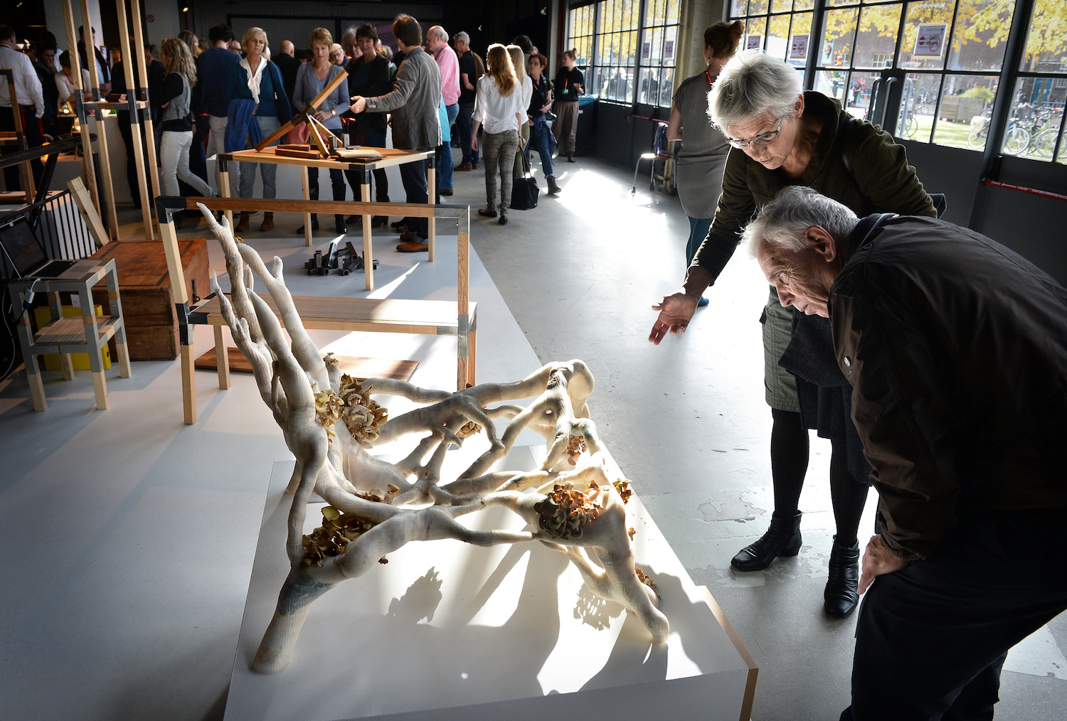 Biotechnologie in de kunst