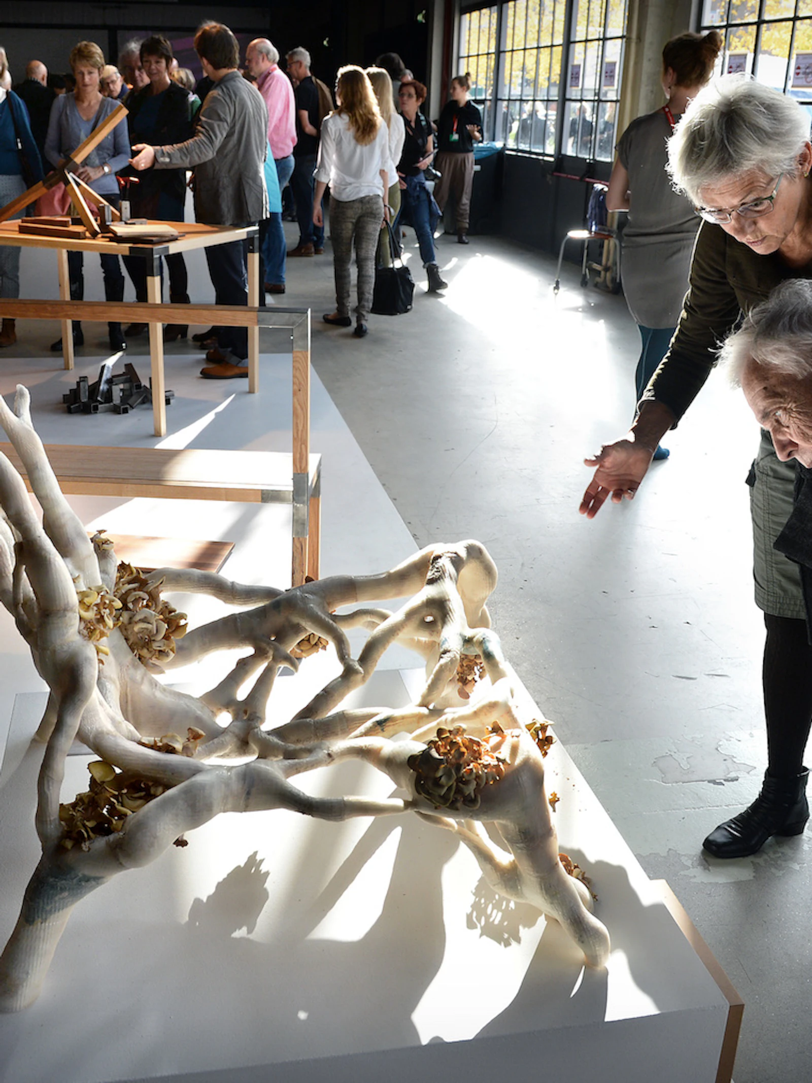 Biotechnologie in de kunst