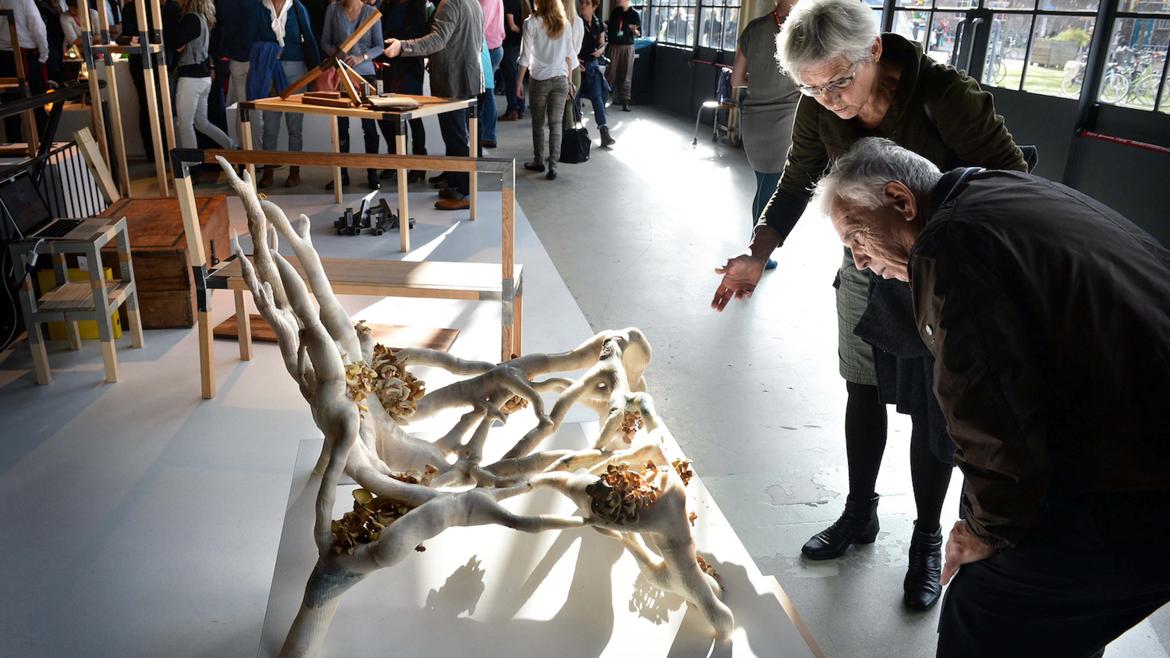 Biotechnologie in de kunst