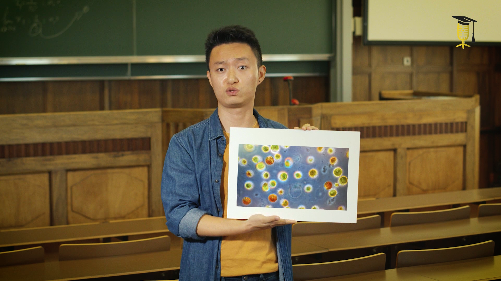 Microalgen, een duurzame voedselbron voor de toekomst?