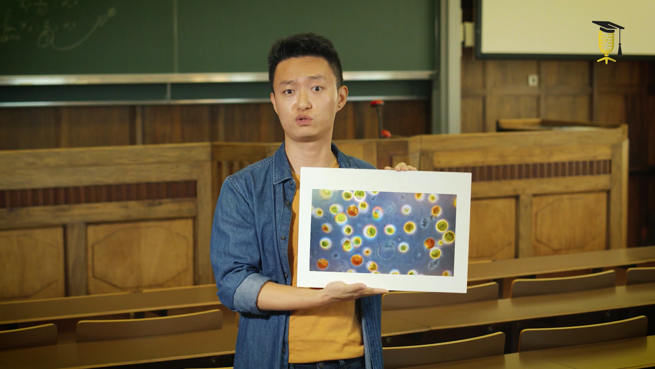 Microalgen, een duurzame voedselbron voor de toekomst?