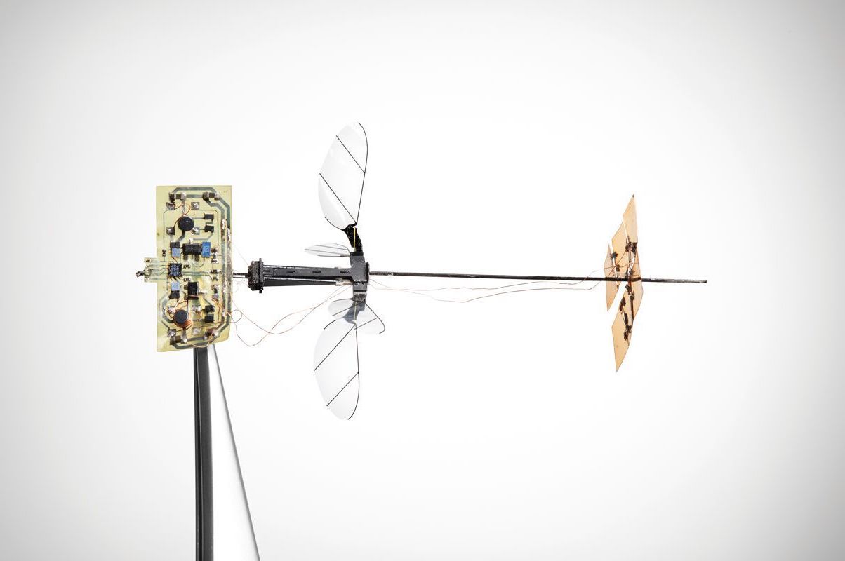 Microrobot maakt eerste solovlucht