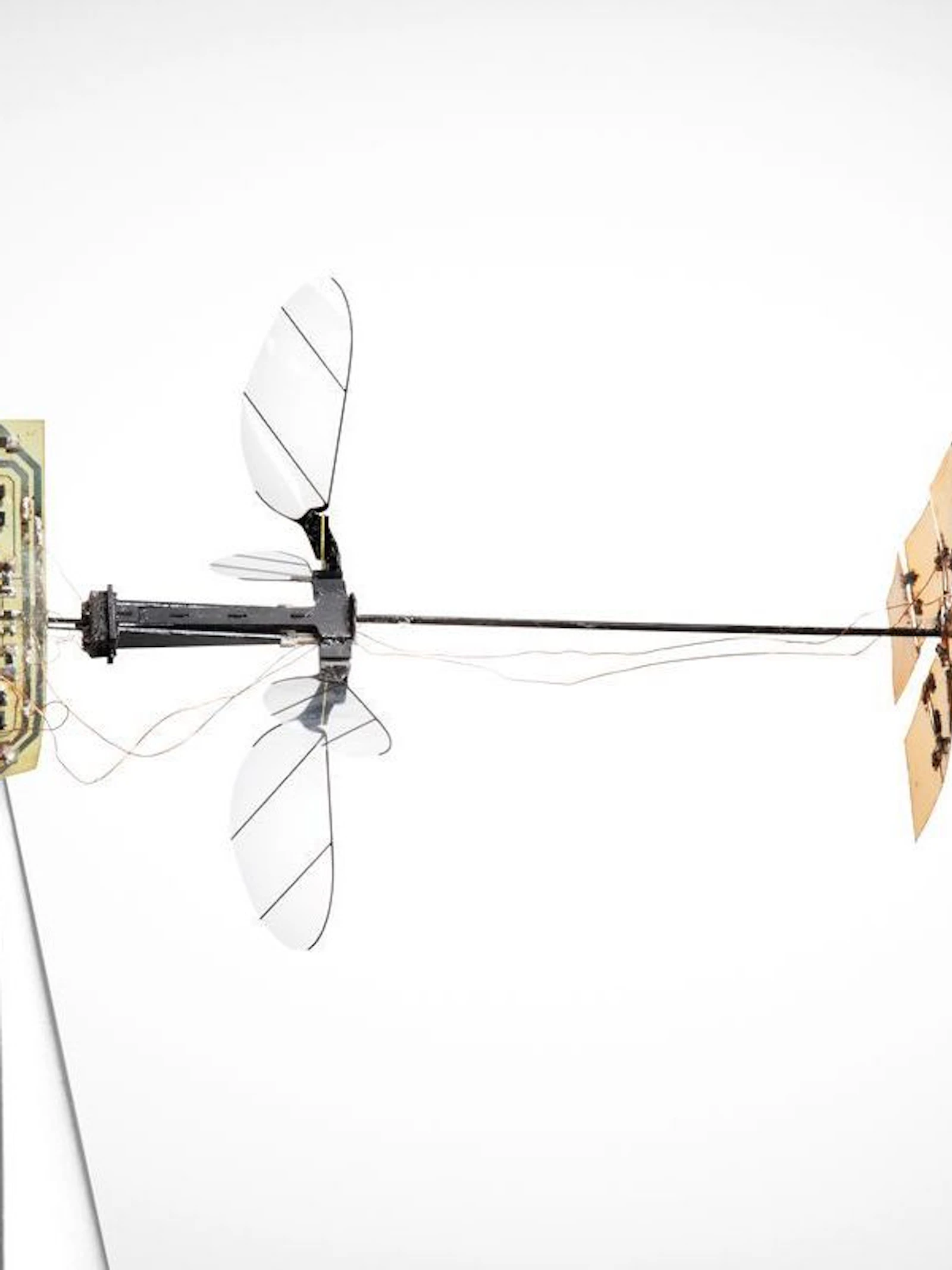 Microrobot maakt eerste solovlucht