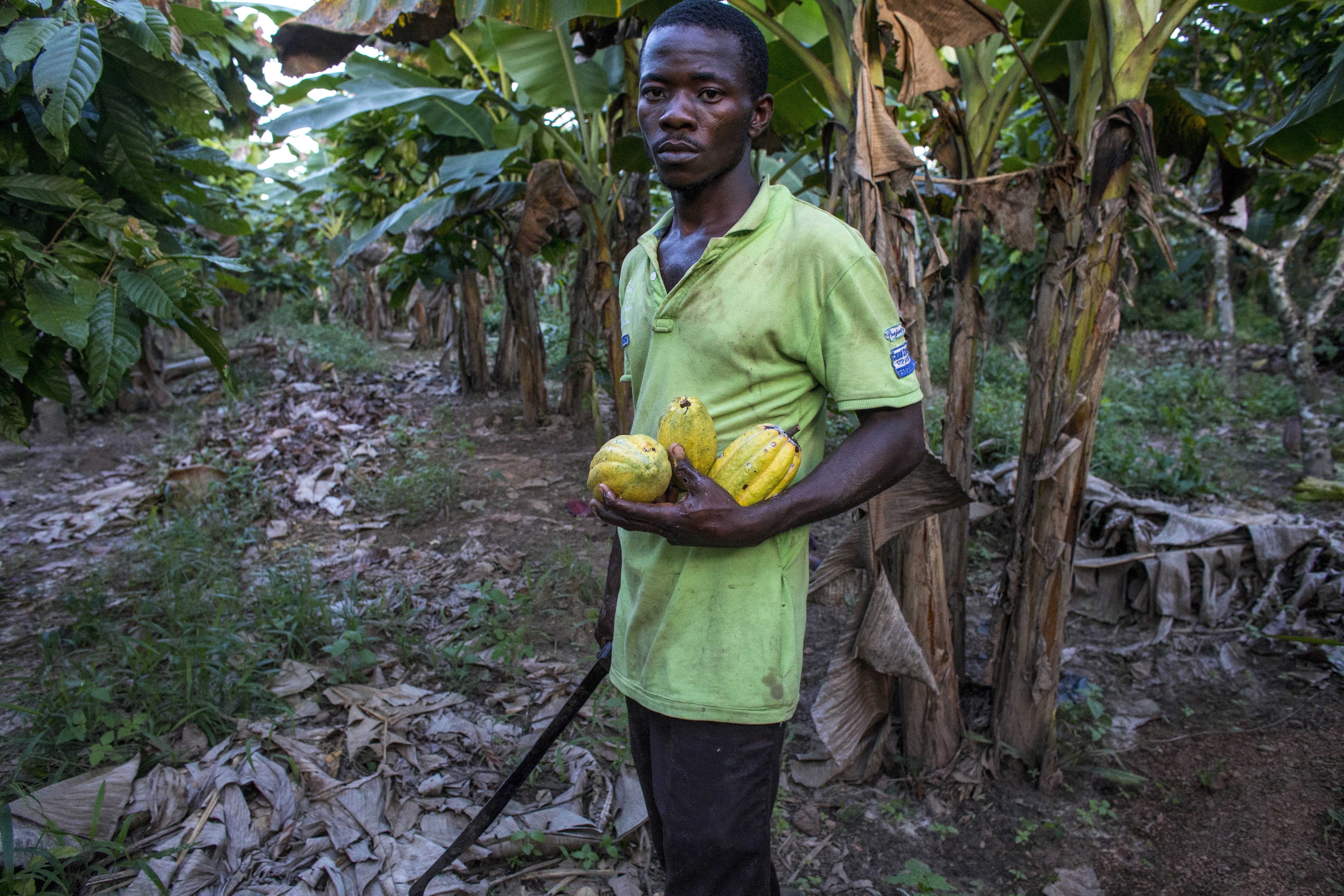 Fairtradechocolade is niet voor iedereen even fair