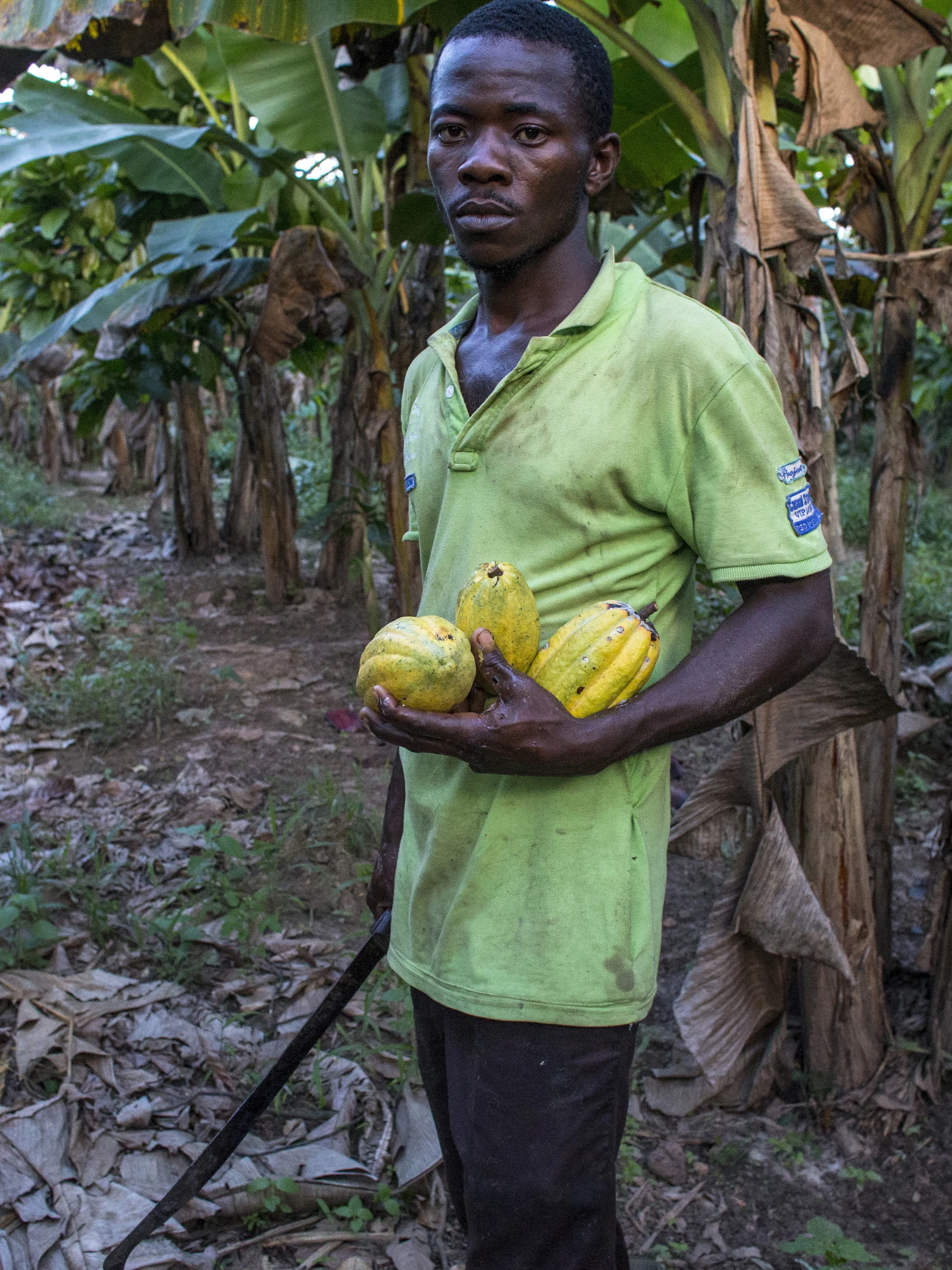 Fairtradechocolade is niet voor iedereen even fair