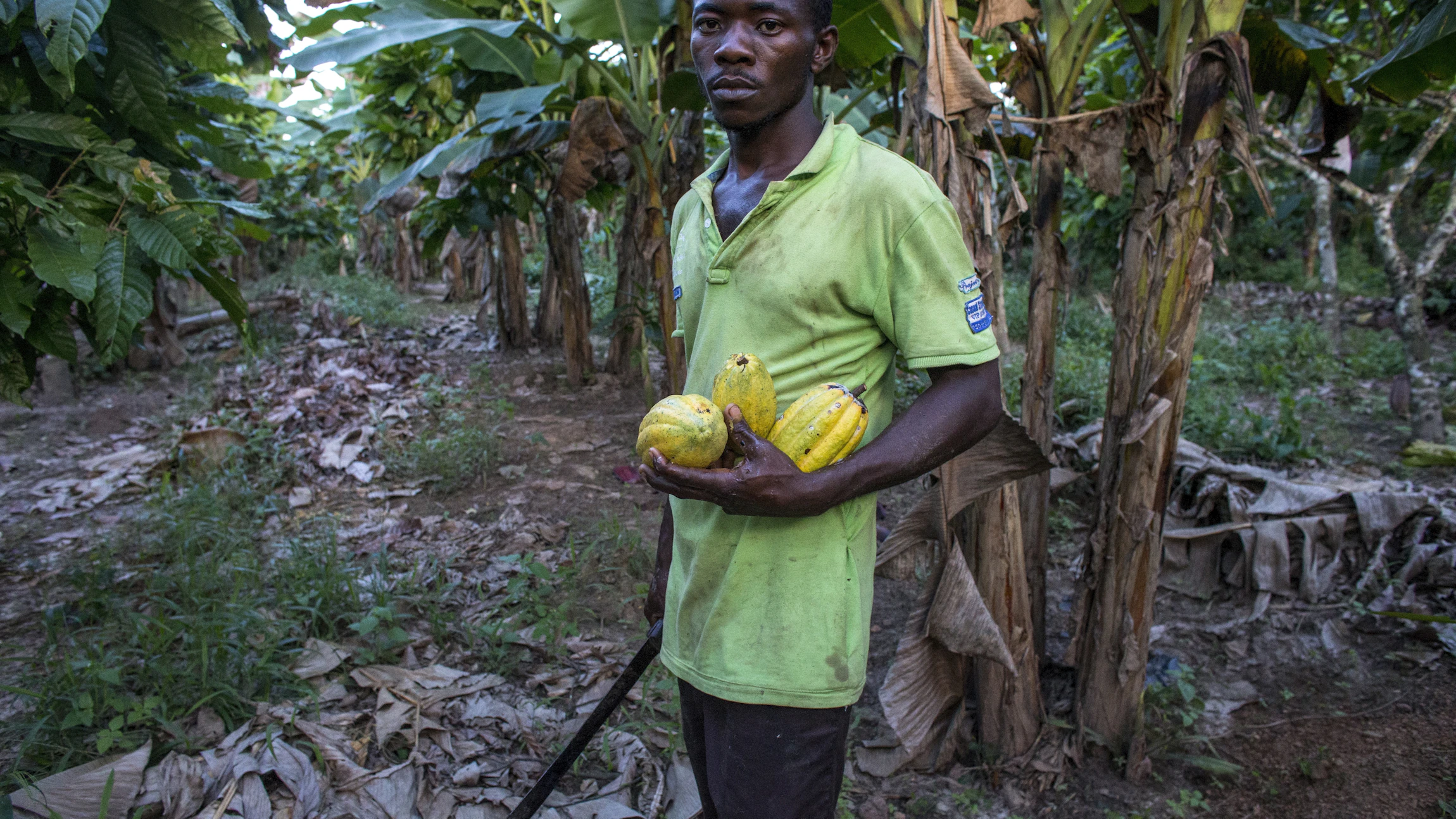 Fairtradechocolade is niet voor iedereen even fair