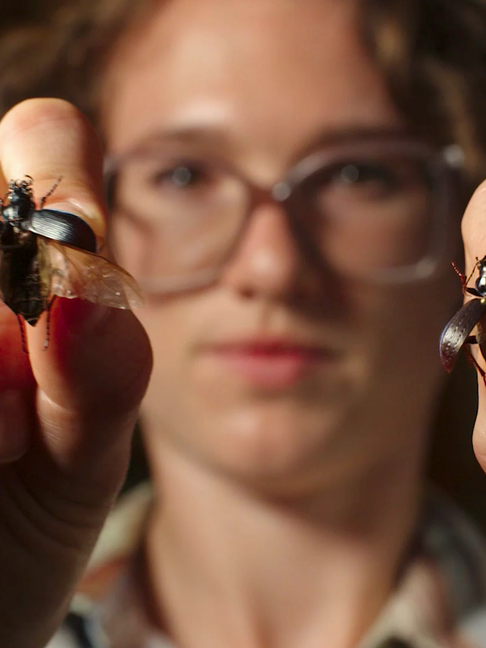 Zoë De Corte Evolutie verloopt soms vliegensvlug