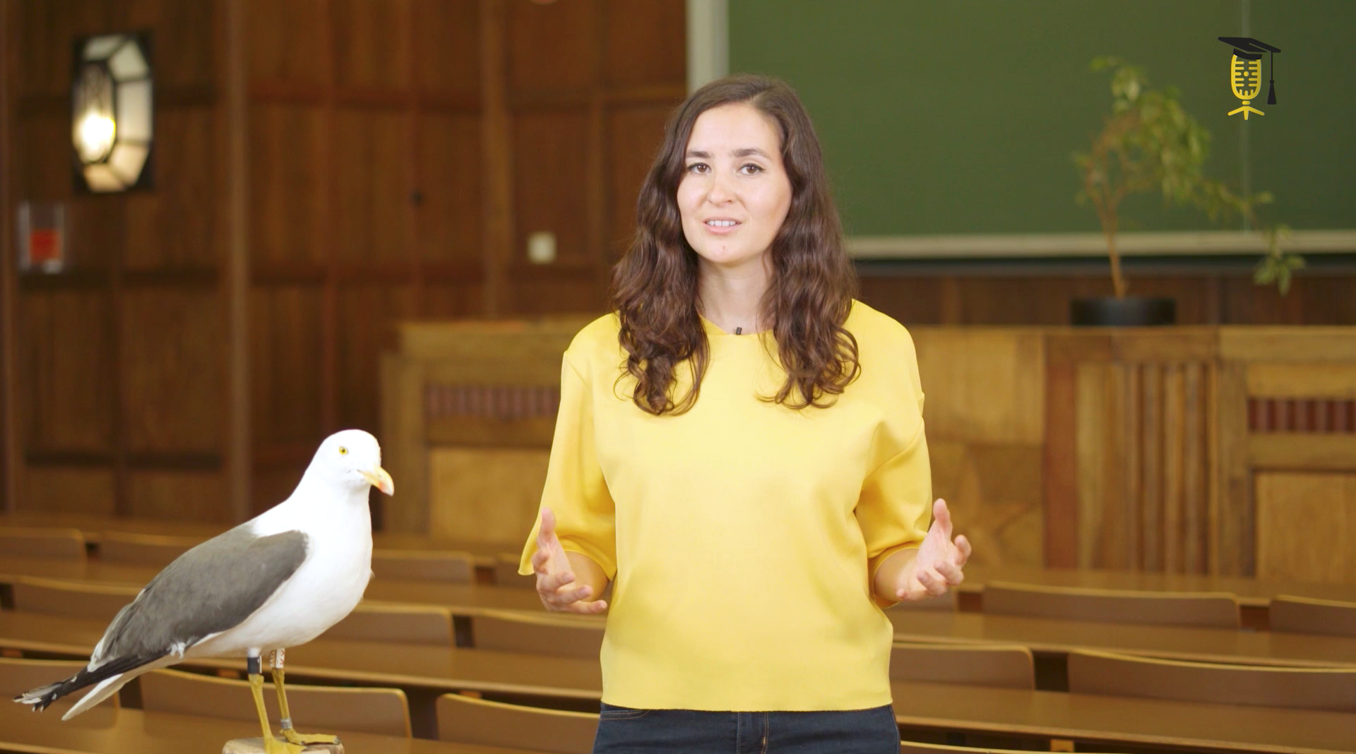 Goede taakverdeling bij meeuwenkoppels zorgt voor gezonde kuikens