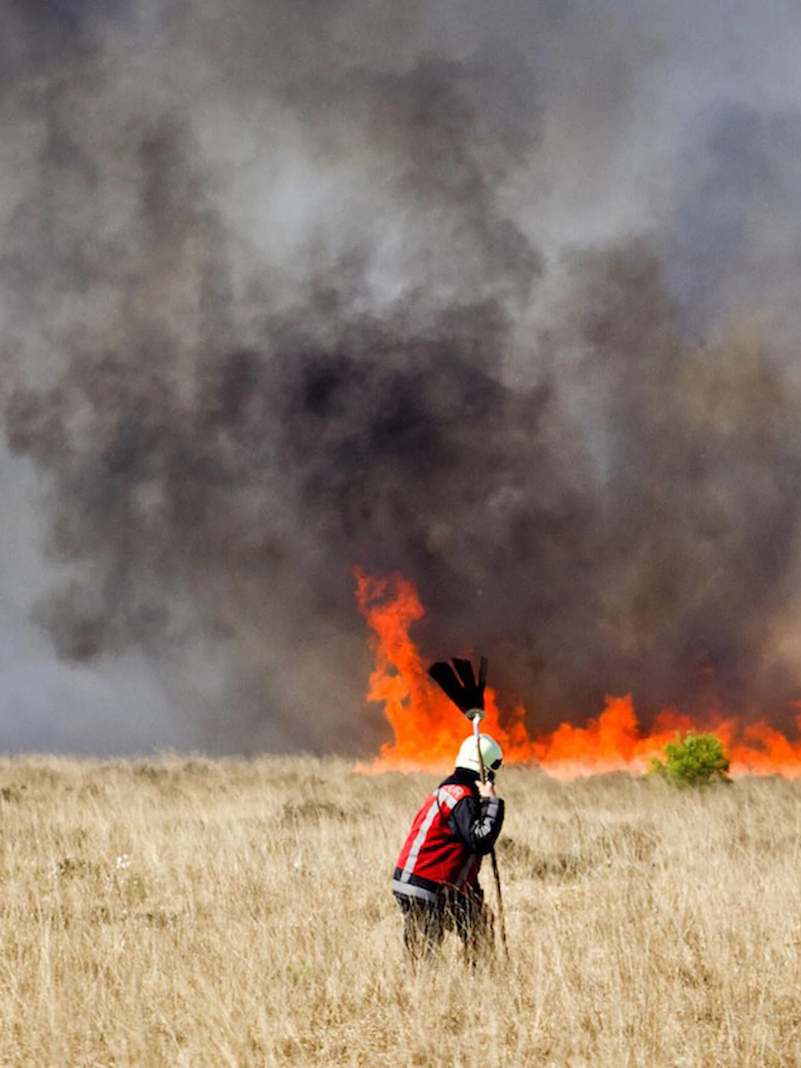 'Een brand is niet altijd slecht voor de natuur'