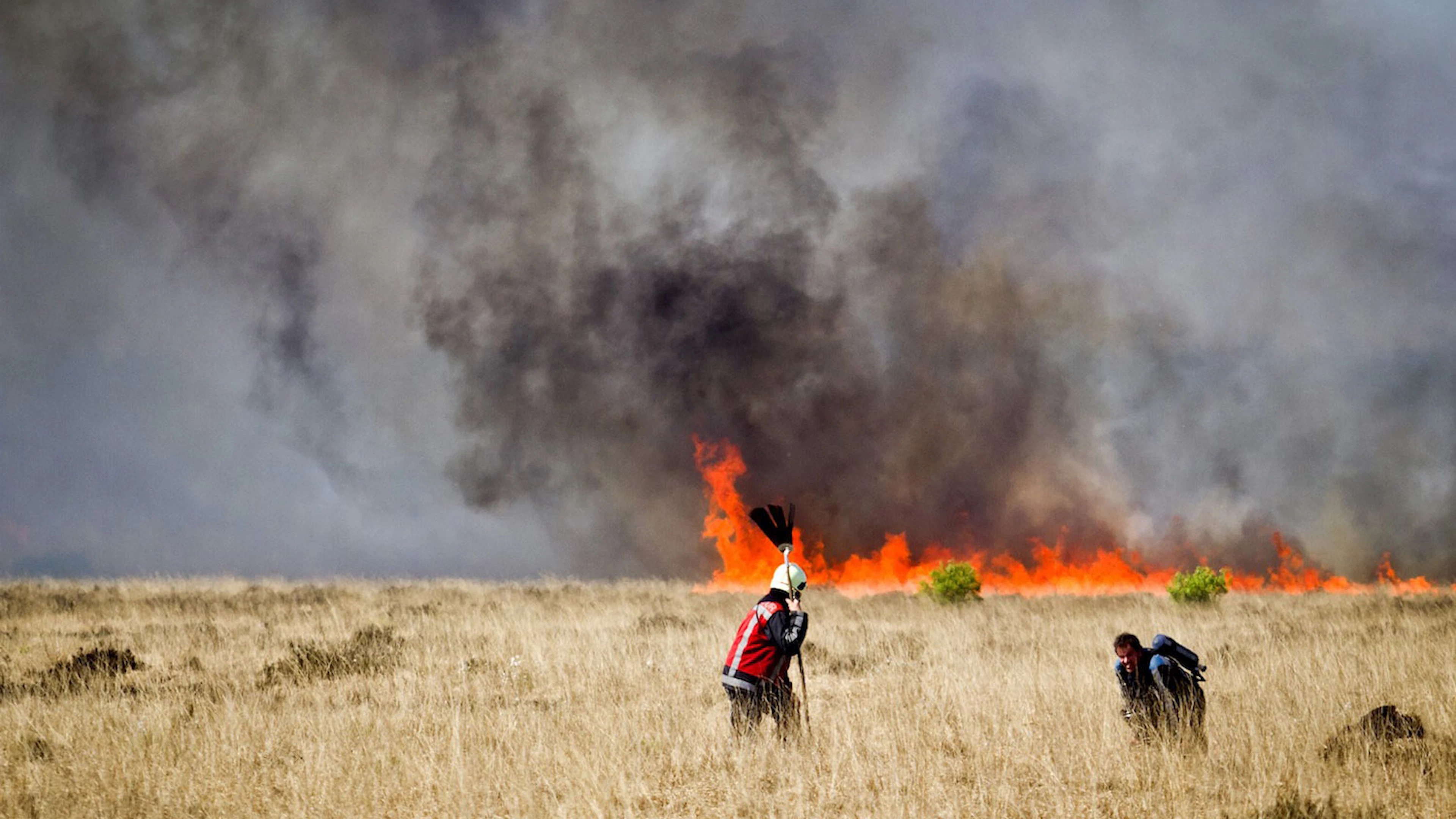 'Een brand is niet altijd slecht voor de natuur'