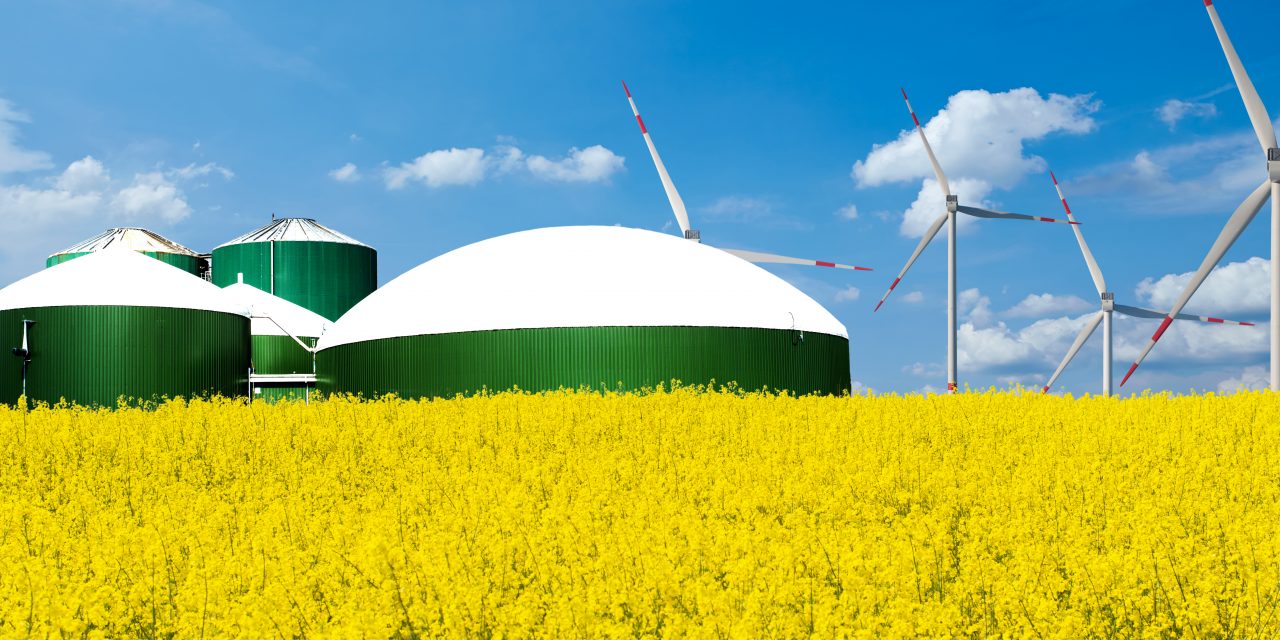 België klimaatneutraal: een energieplan - deel 4: we moeten (dringend) investeren in energieopslag