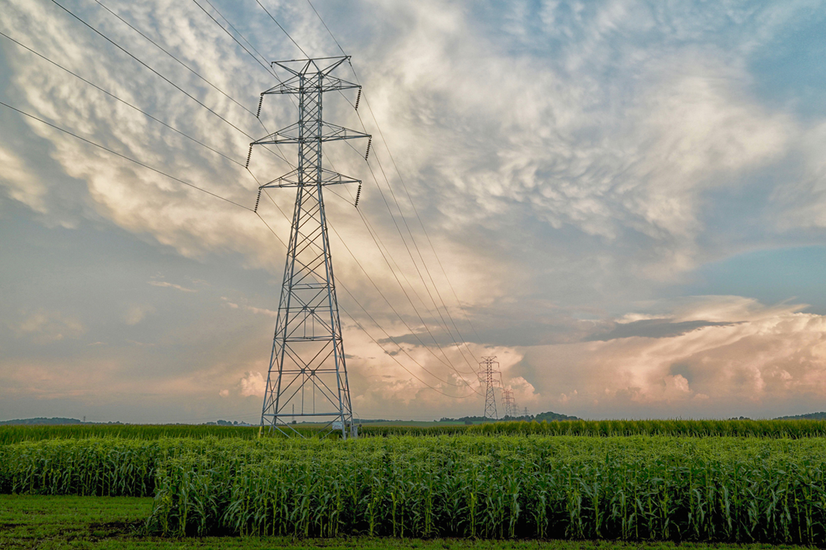 Wat leert de covid-19-pandemie ons over de energietransitie naar hernieuwbare energie?