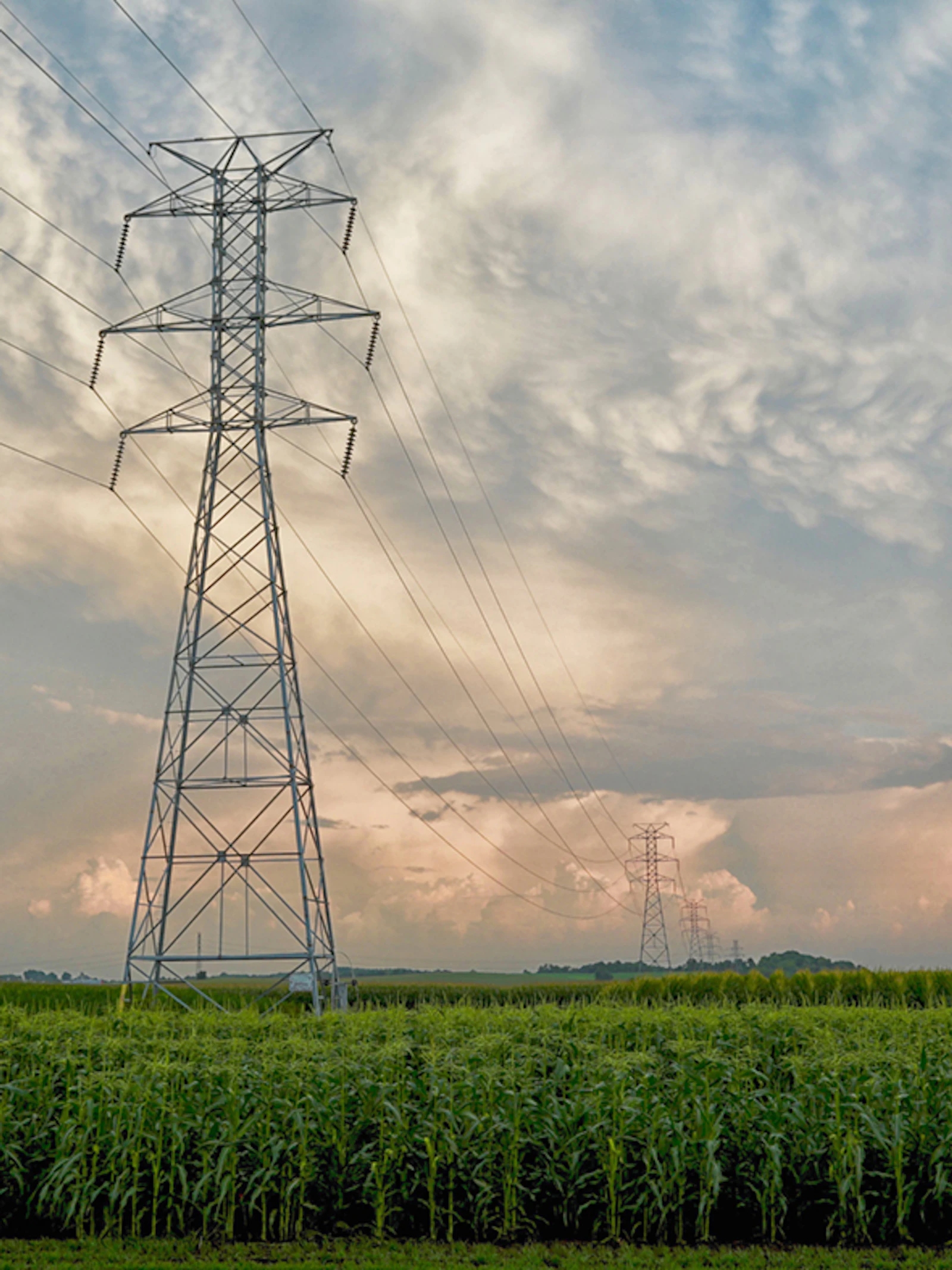 Wat leert de Covid-19-pandemie ons over de energietransitie naar hernieuwbare energie? Wat leert de covid-19-pandemie ons over de energietransitie naar hernieuwbare energie?