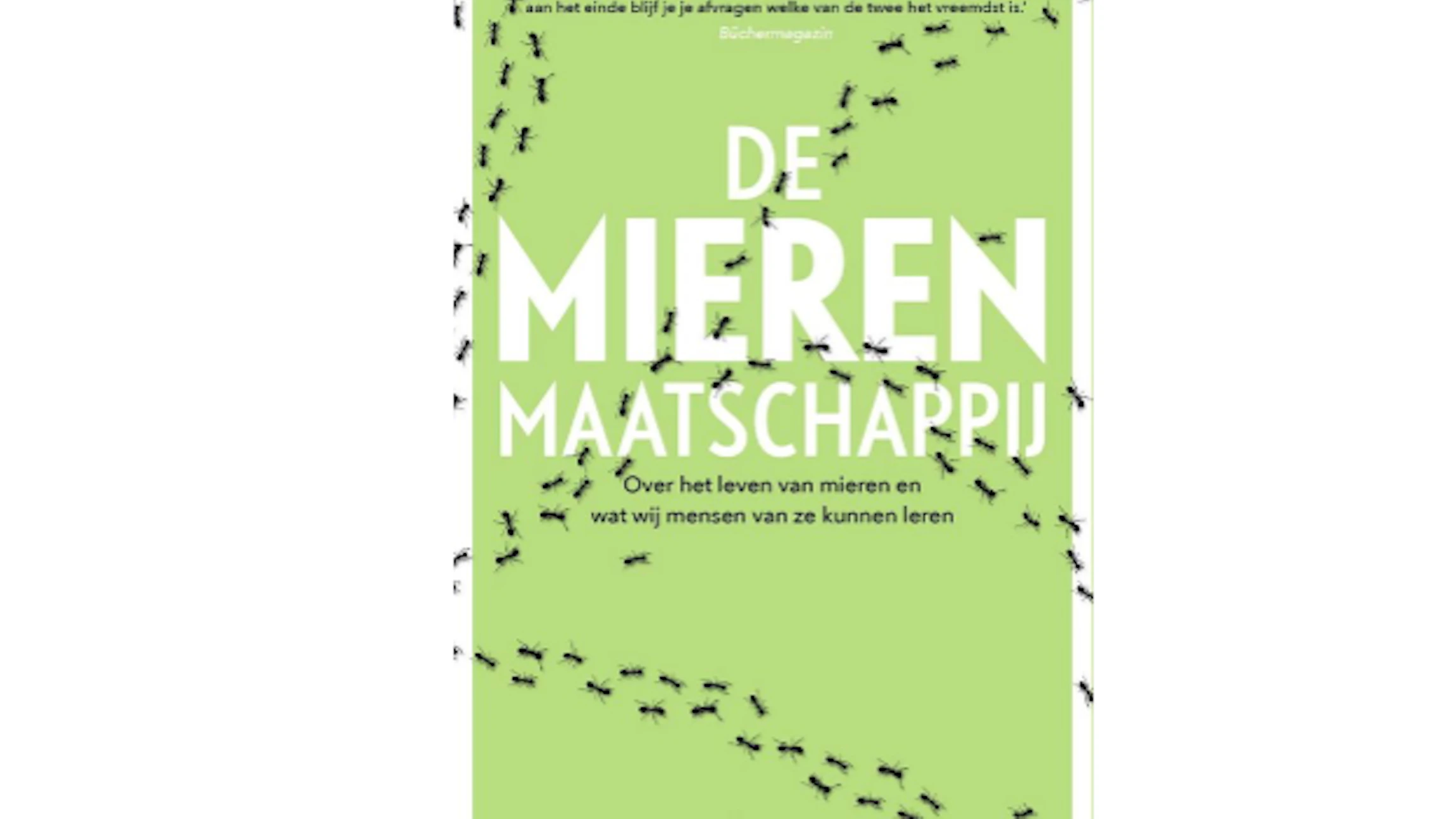 Tussen mieren en mensen