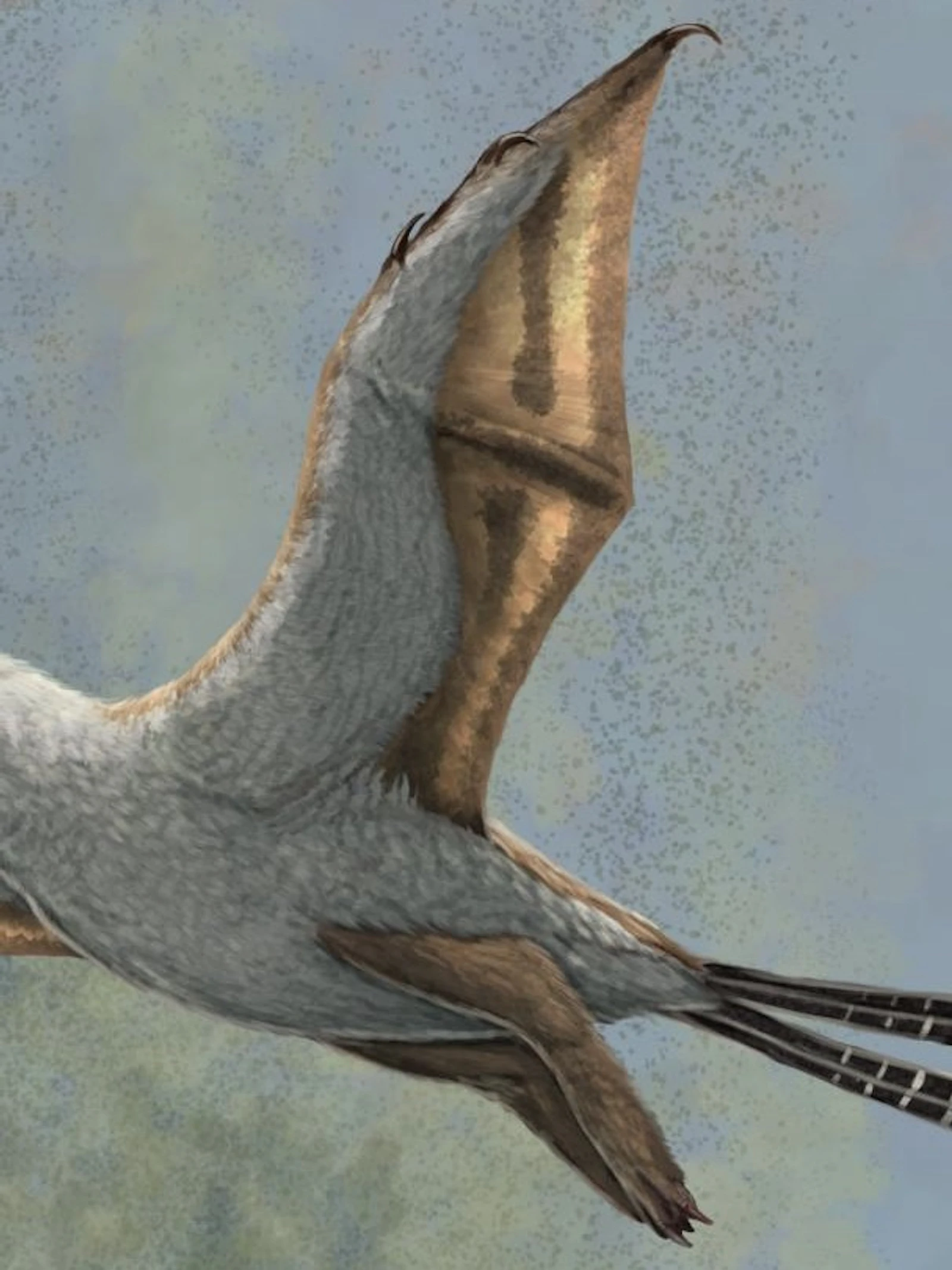 Deze 'vreemde en vroege vogel' kon ondanks zijn vleugels niet vliegen