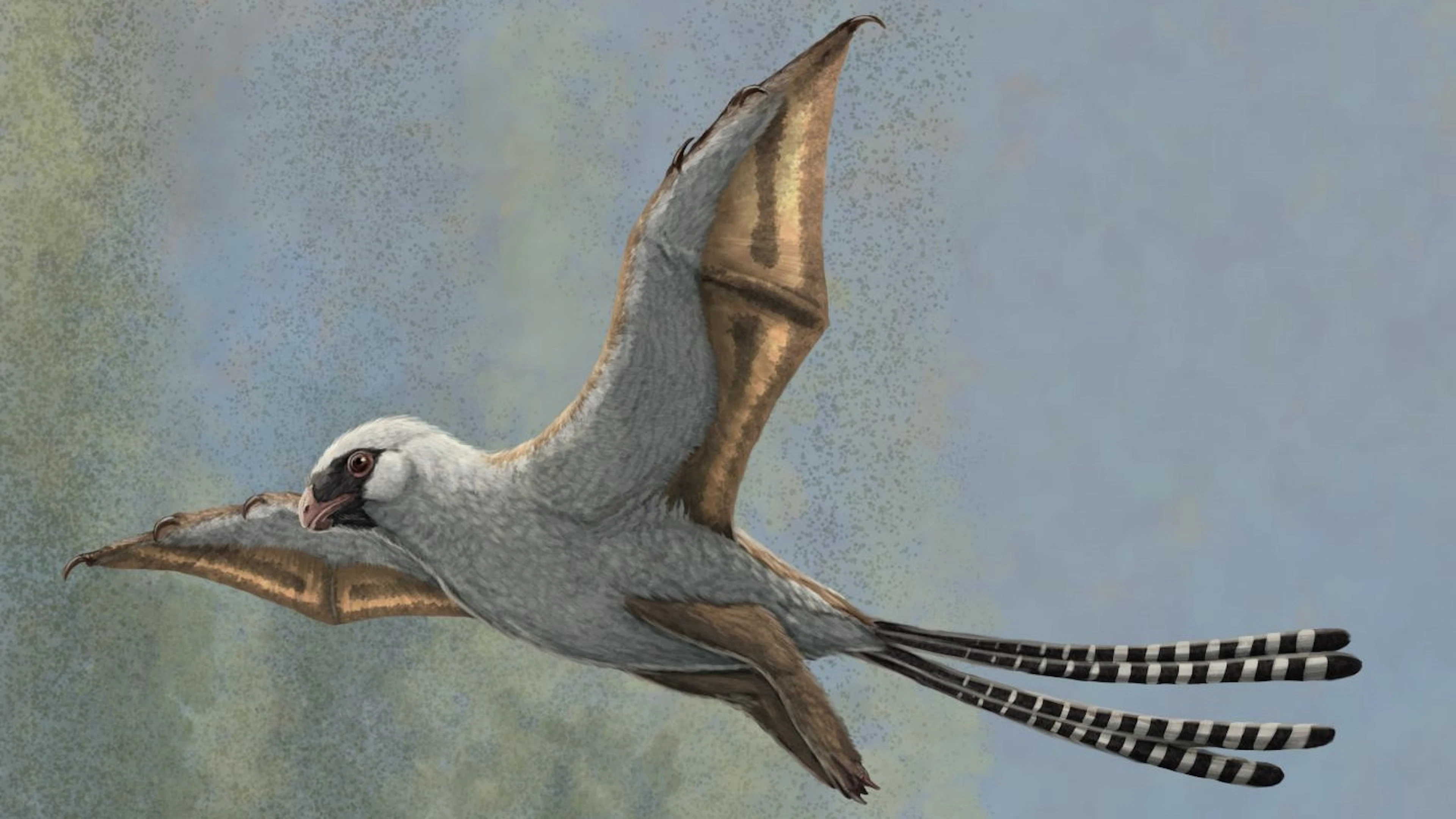 Deze 'vreemde en vroege vogel' kon ondanks zijn vleugels niet vliegen