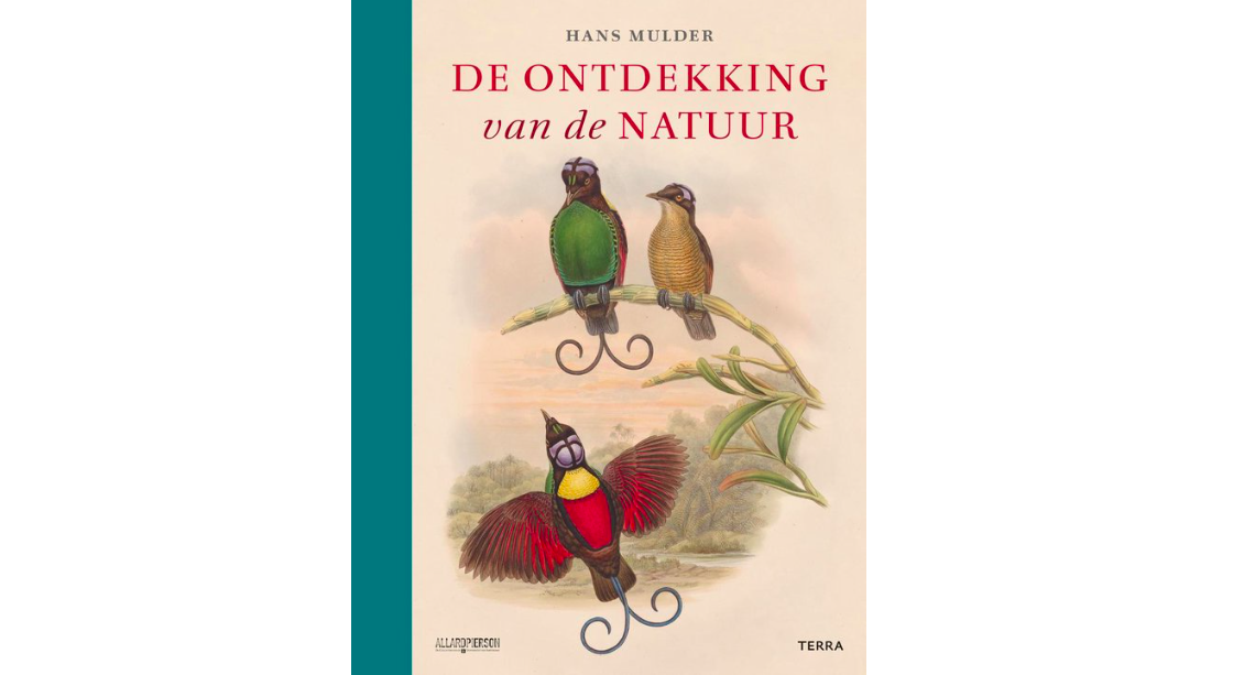 Draken en bacteriën