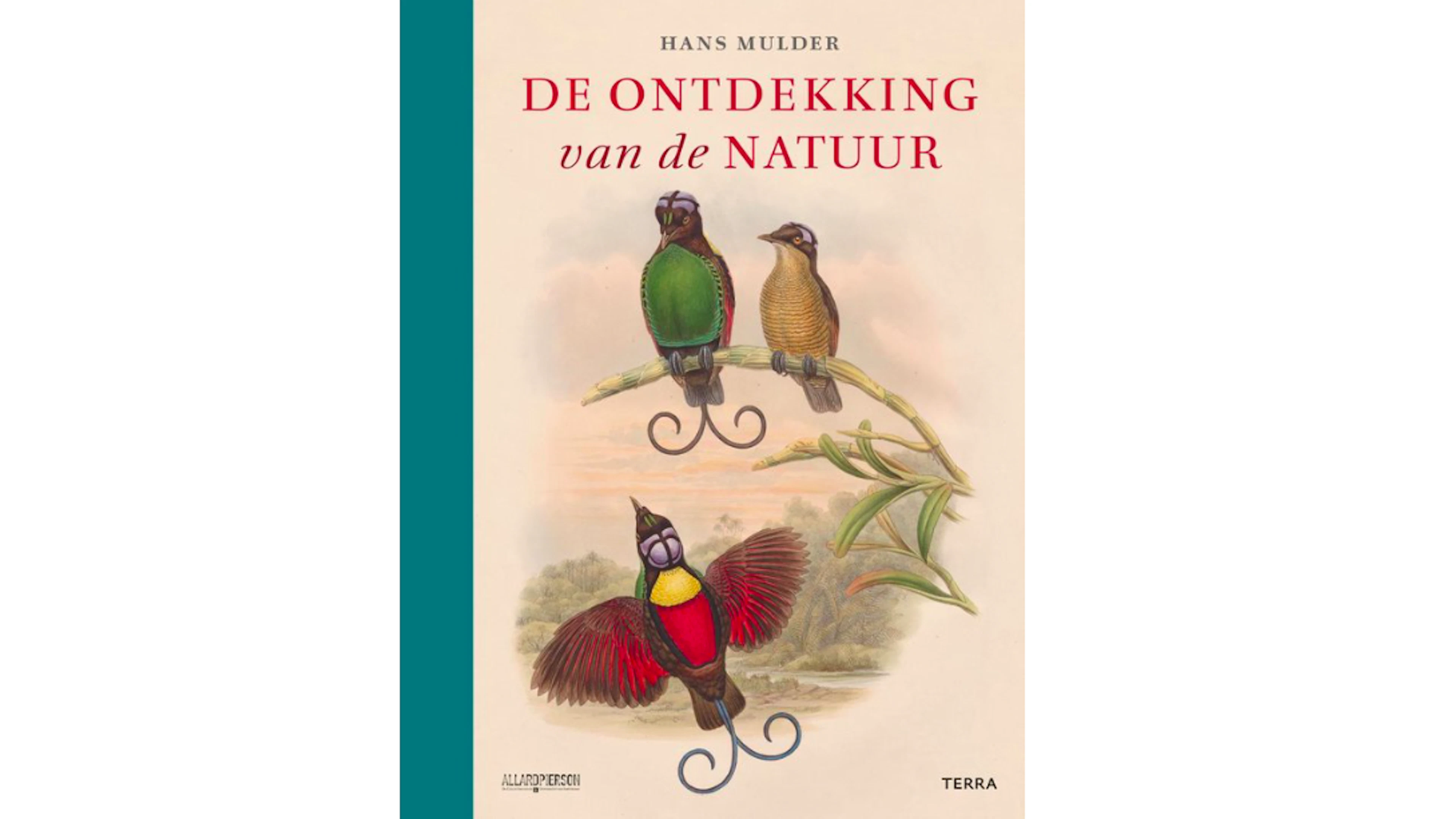 Draken en bacteriën