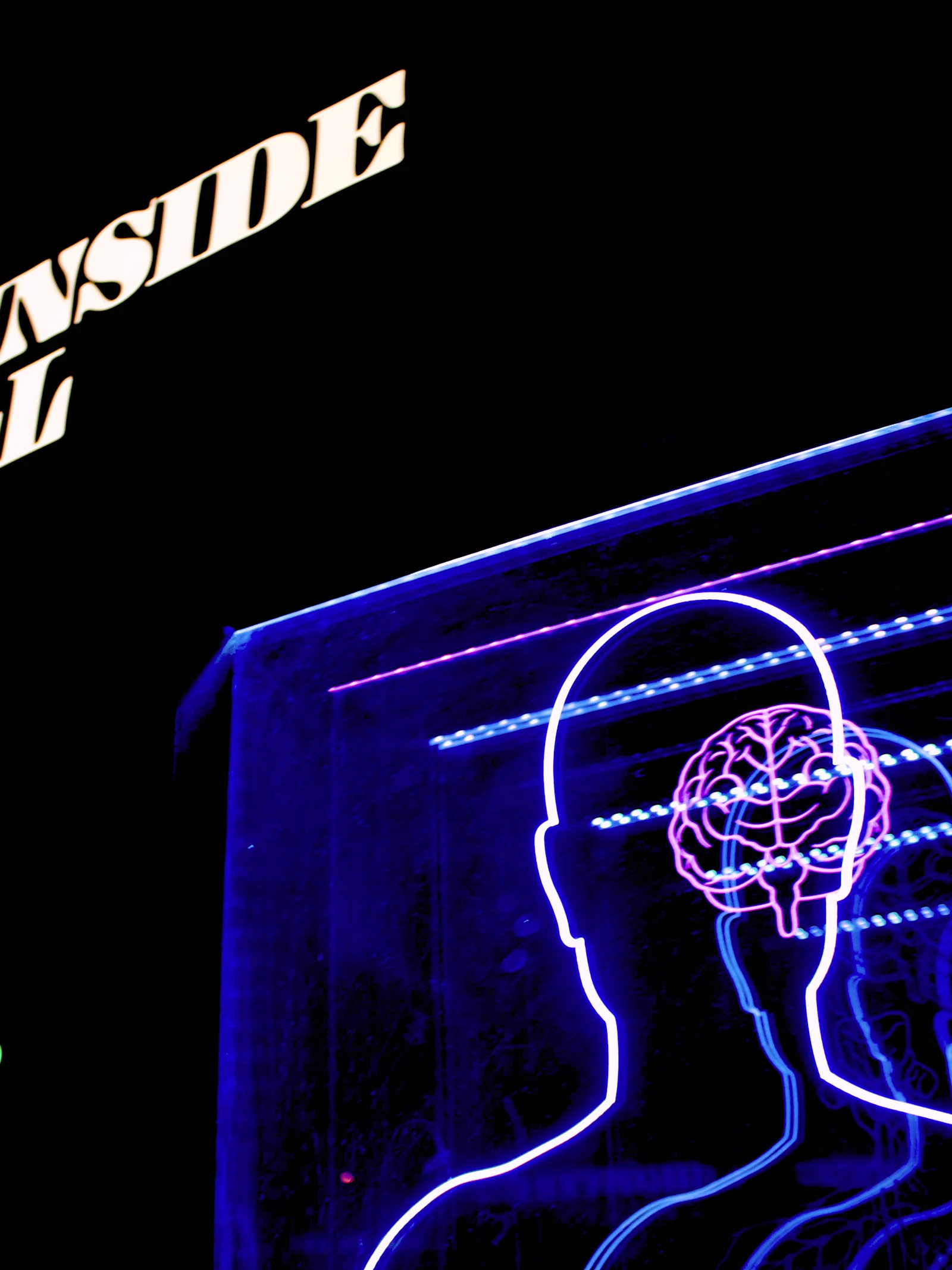 Hersenspinsels: een editie over cognitie