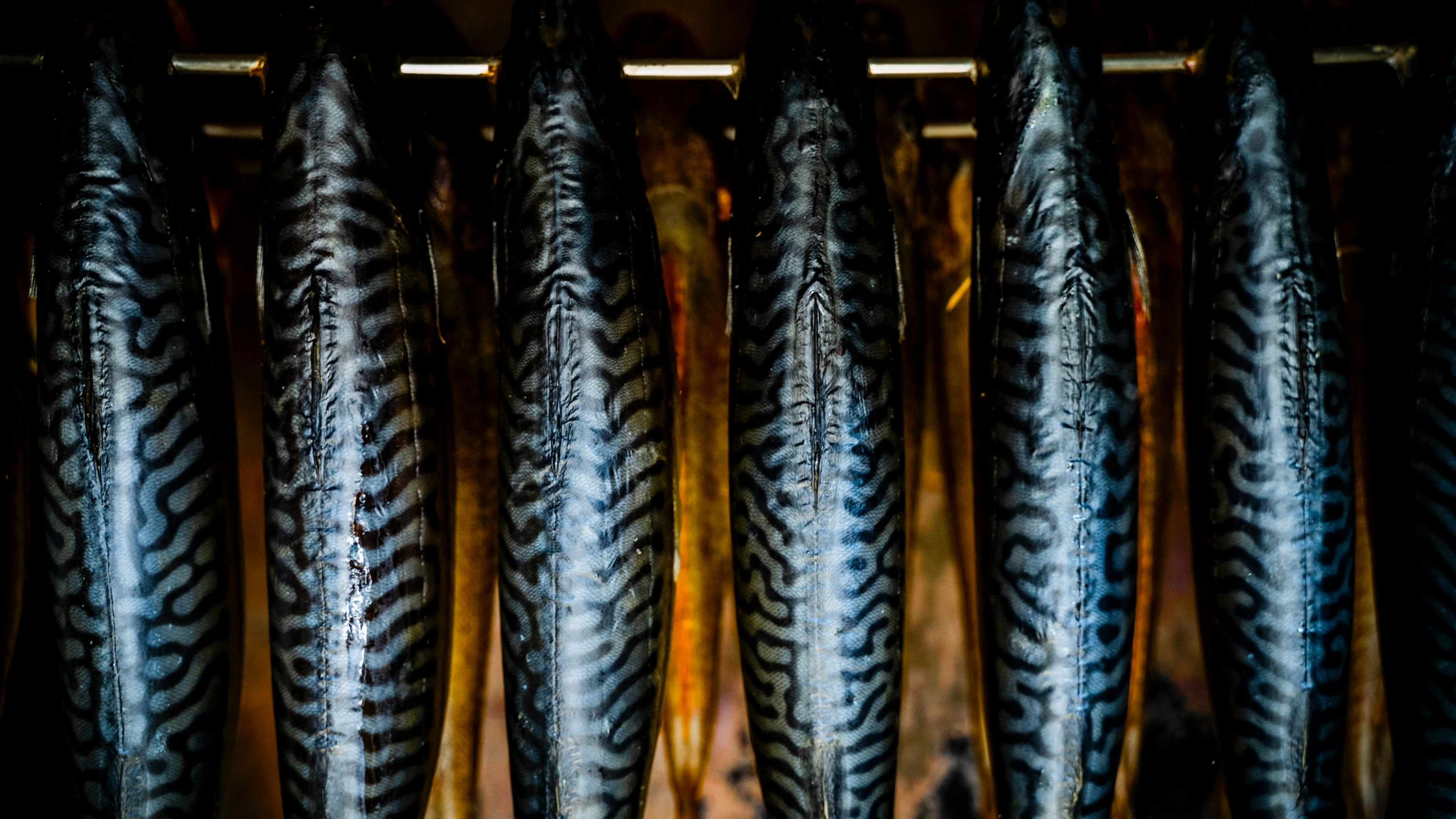 Verzachten omega 3-vetzuren hoofdpijn?